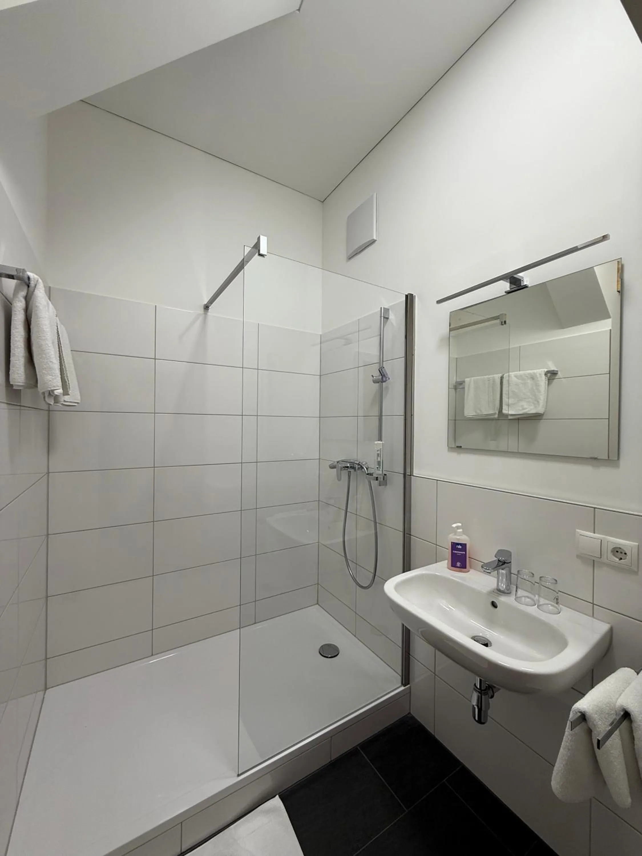 Shower in Hotel Pension Löwen in Sulz