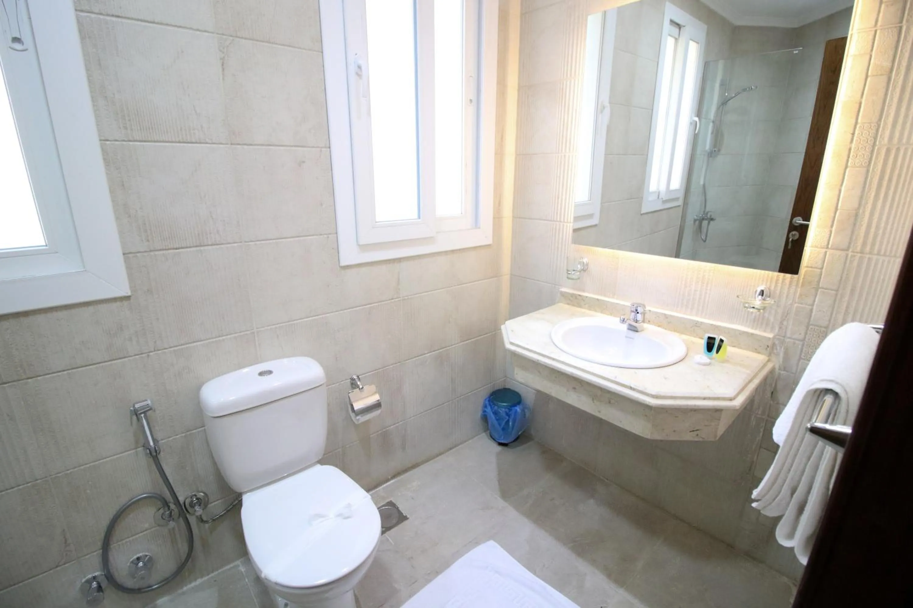 Miramar Talaat Harb Square