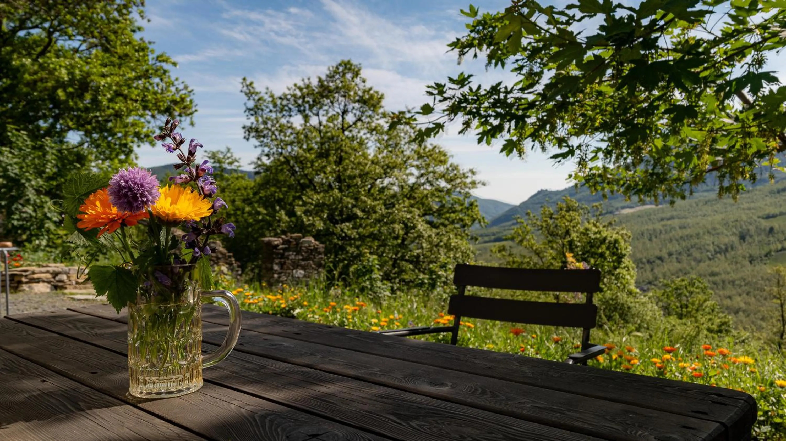 Spring in Le Spine B&B sulla Via Francigena