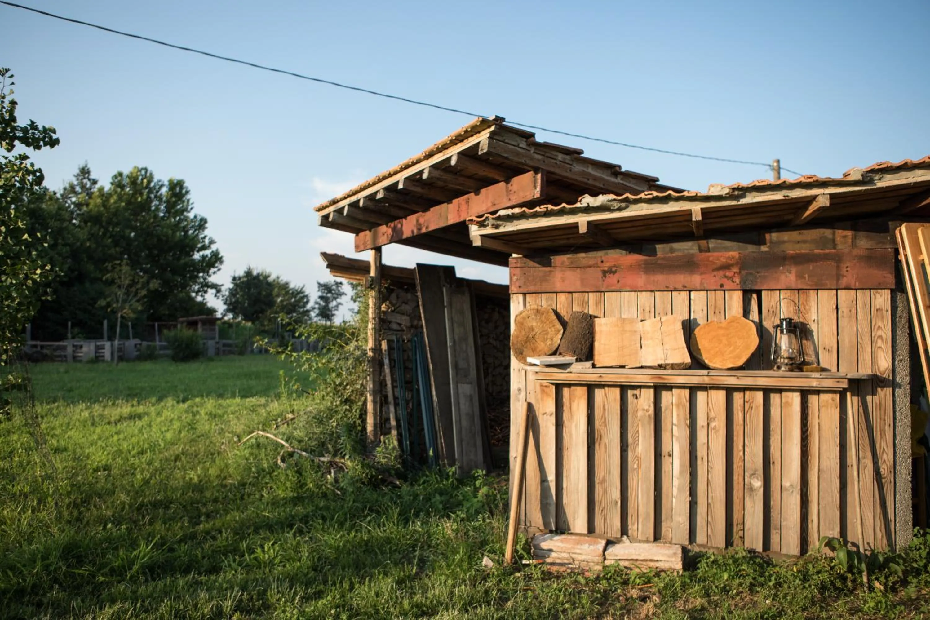 Garden in B&B Casa Campagnari