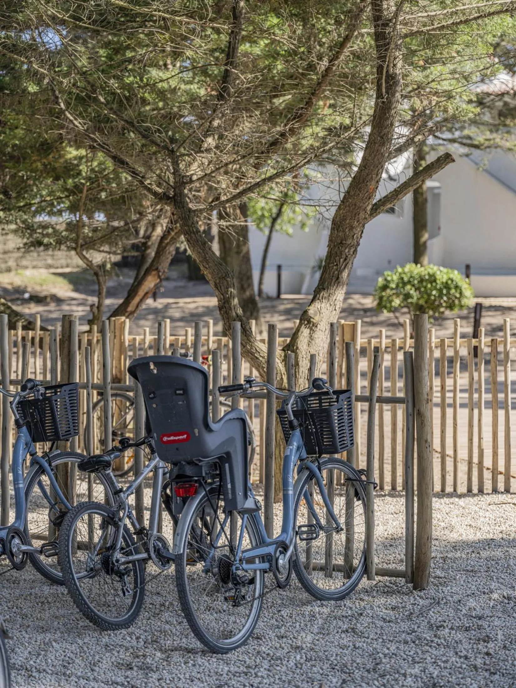Cycling in Hotel Punta Lara Noirmoutier