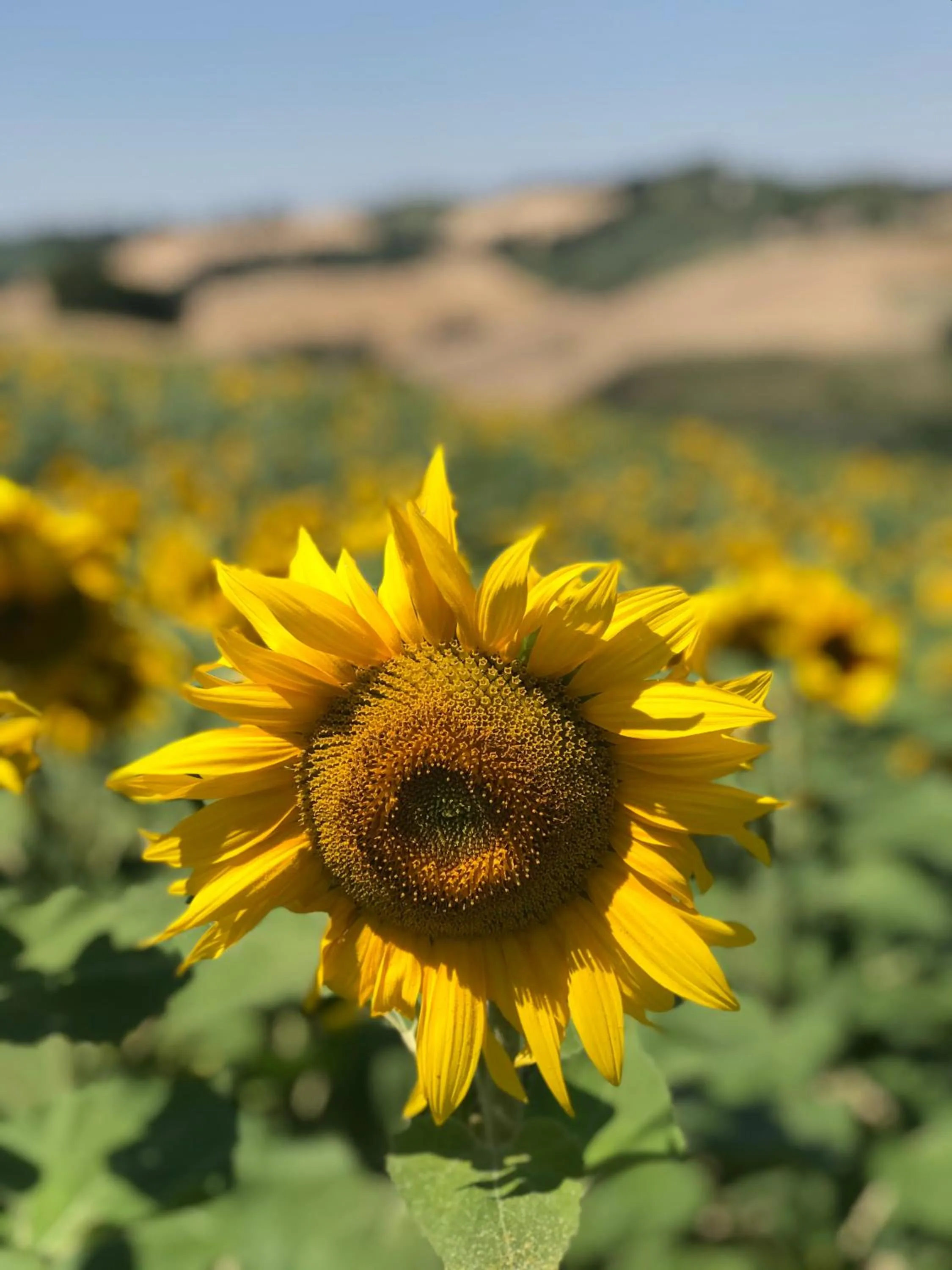 Natural landscape in Il Posto Perfetto