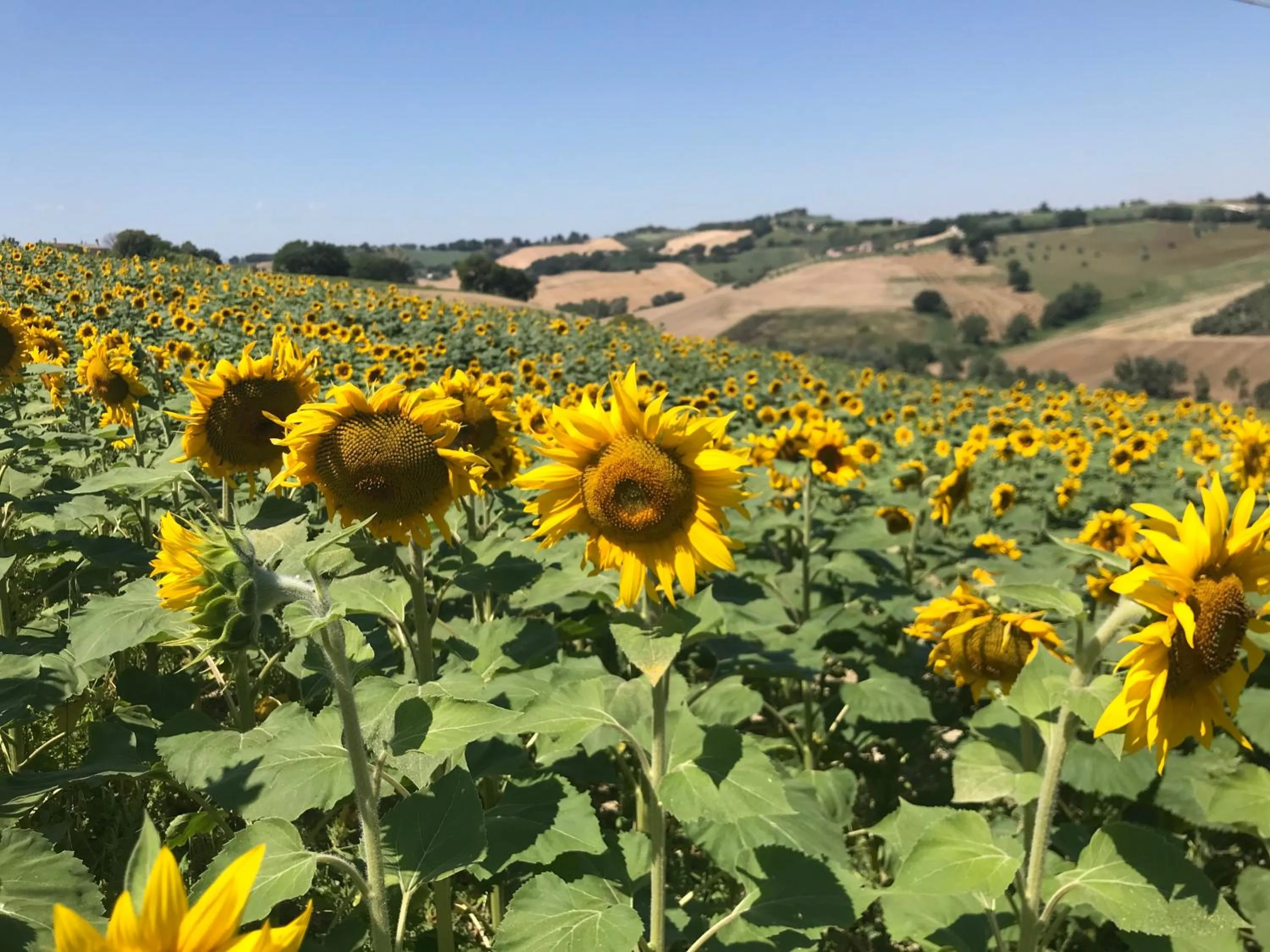 View (from property/room) in Il Posto Perfetto
