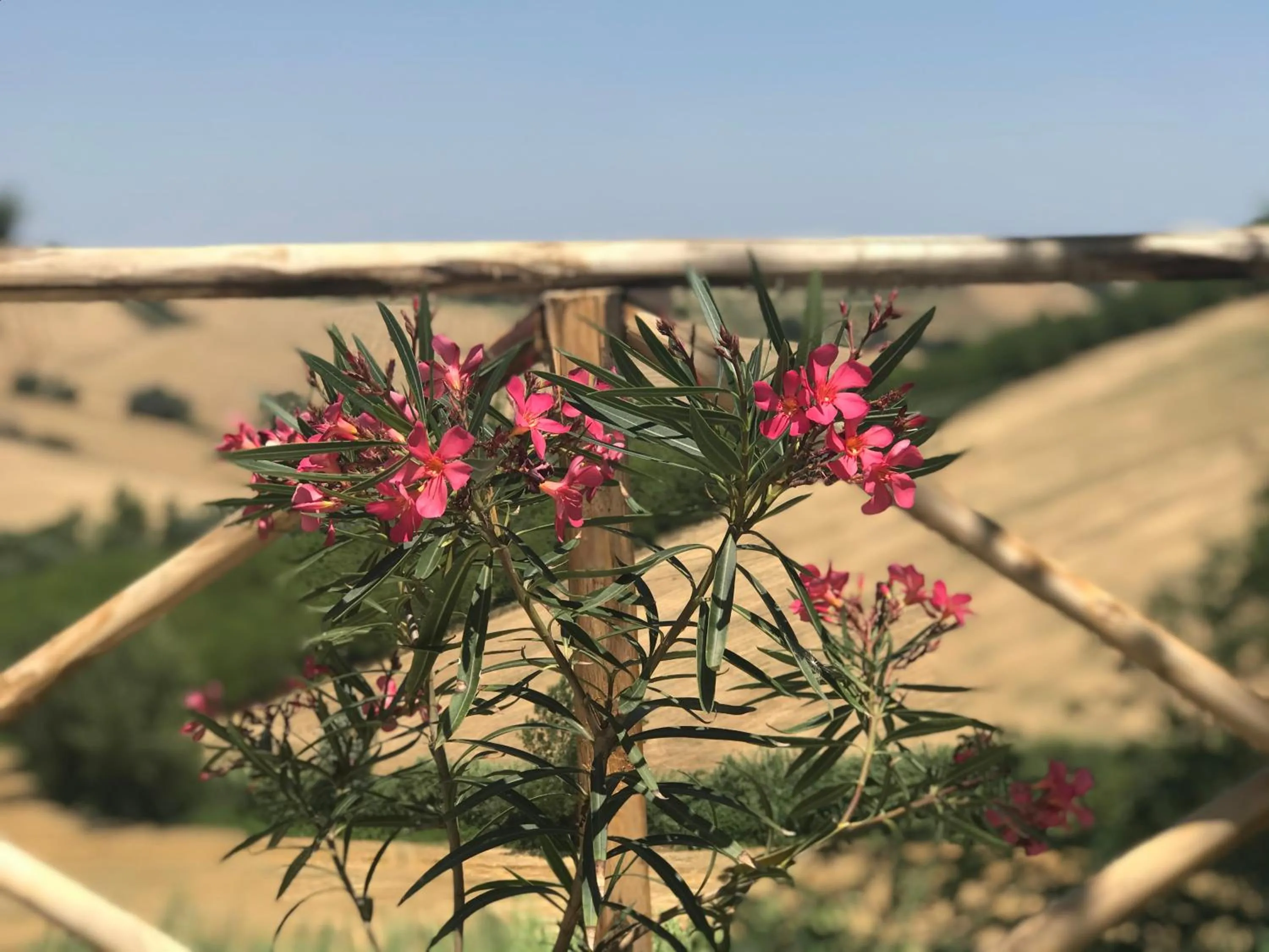 View (from property/room) in Il Posto Perfetto