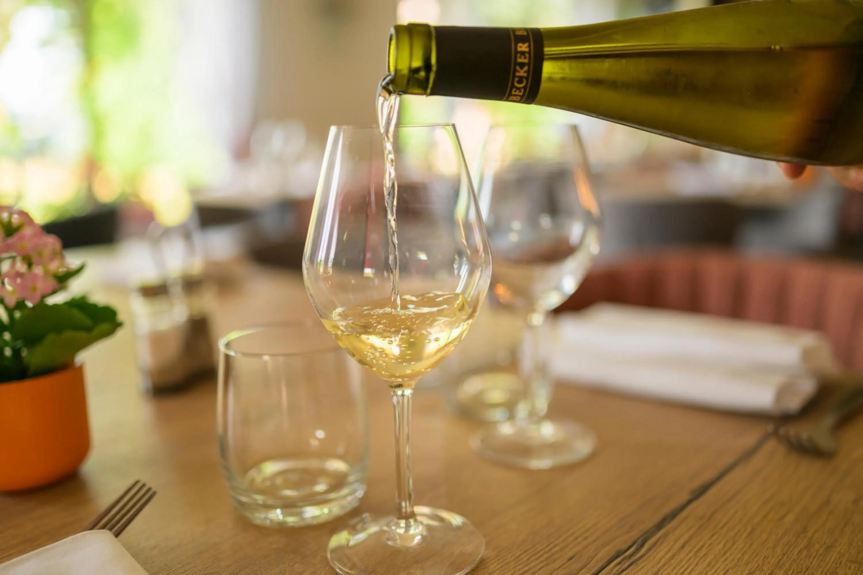 Hôtel Restaurant Au Relais D'Alsace