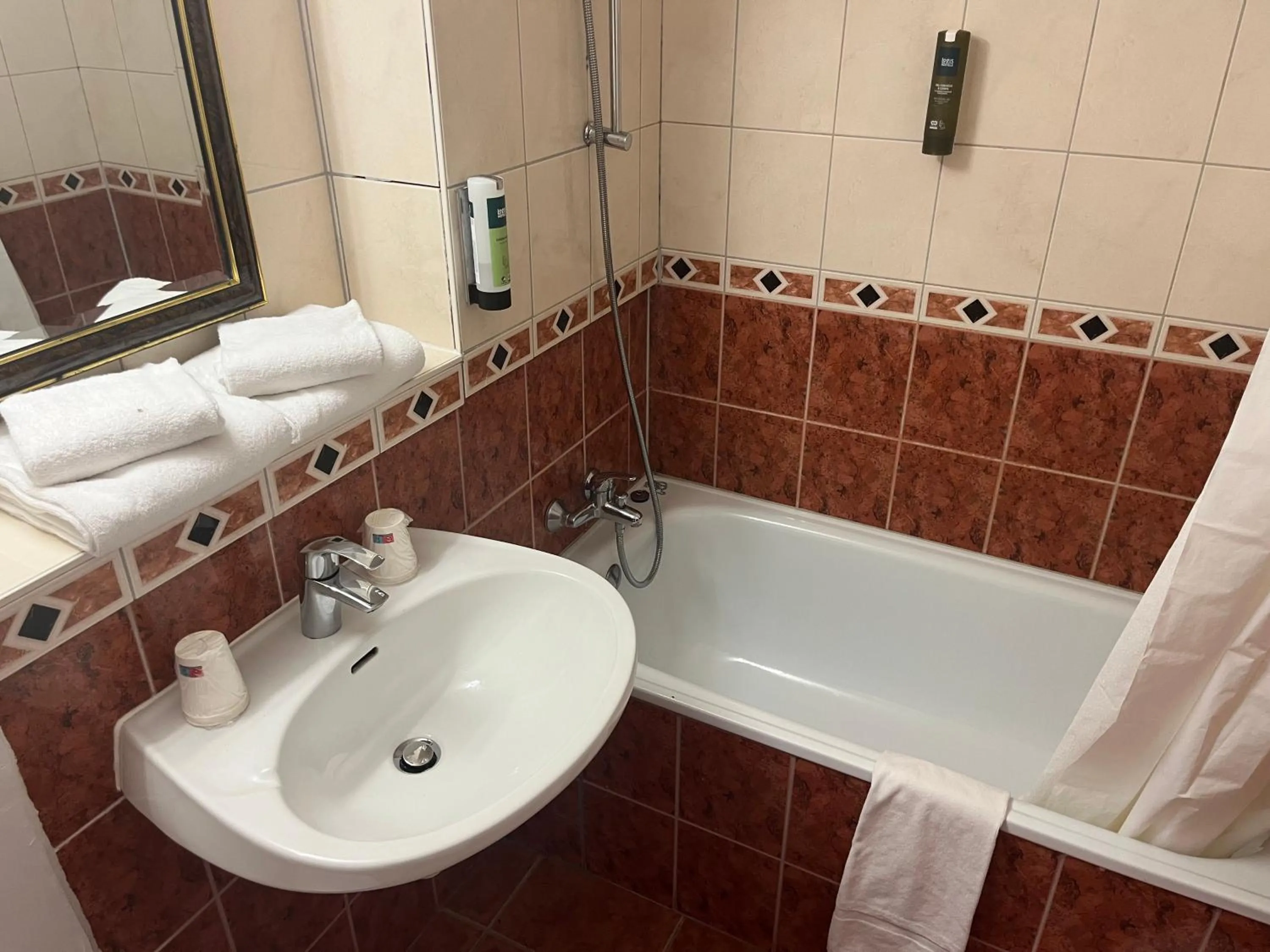 Toilet in Hôtel Restaurant Au Relais D'Alsace