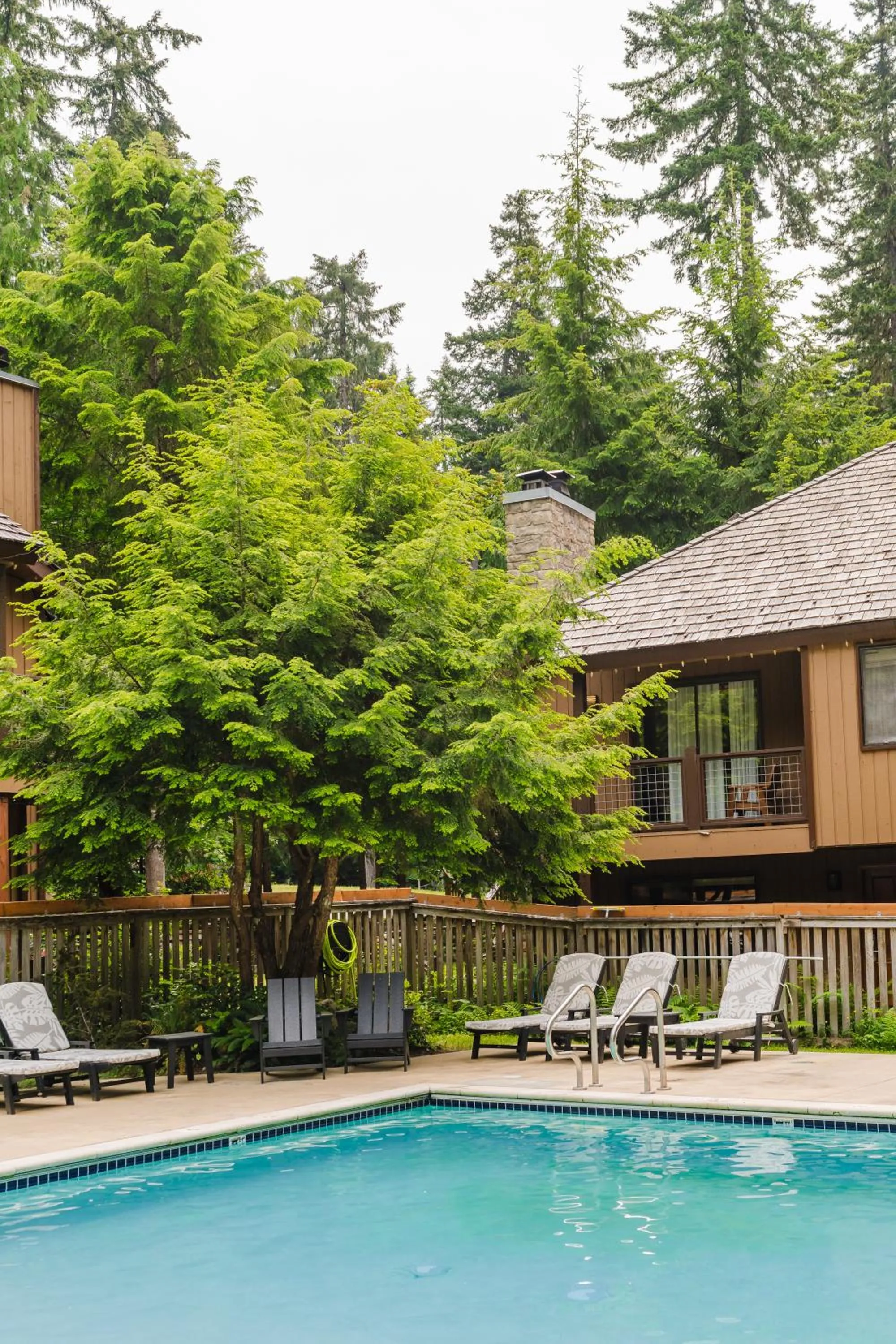 Swimming pool in LOGE Alta Crystal