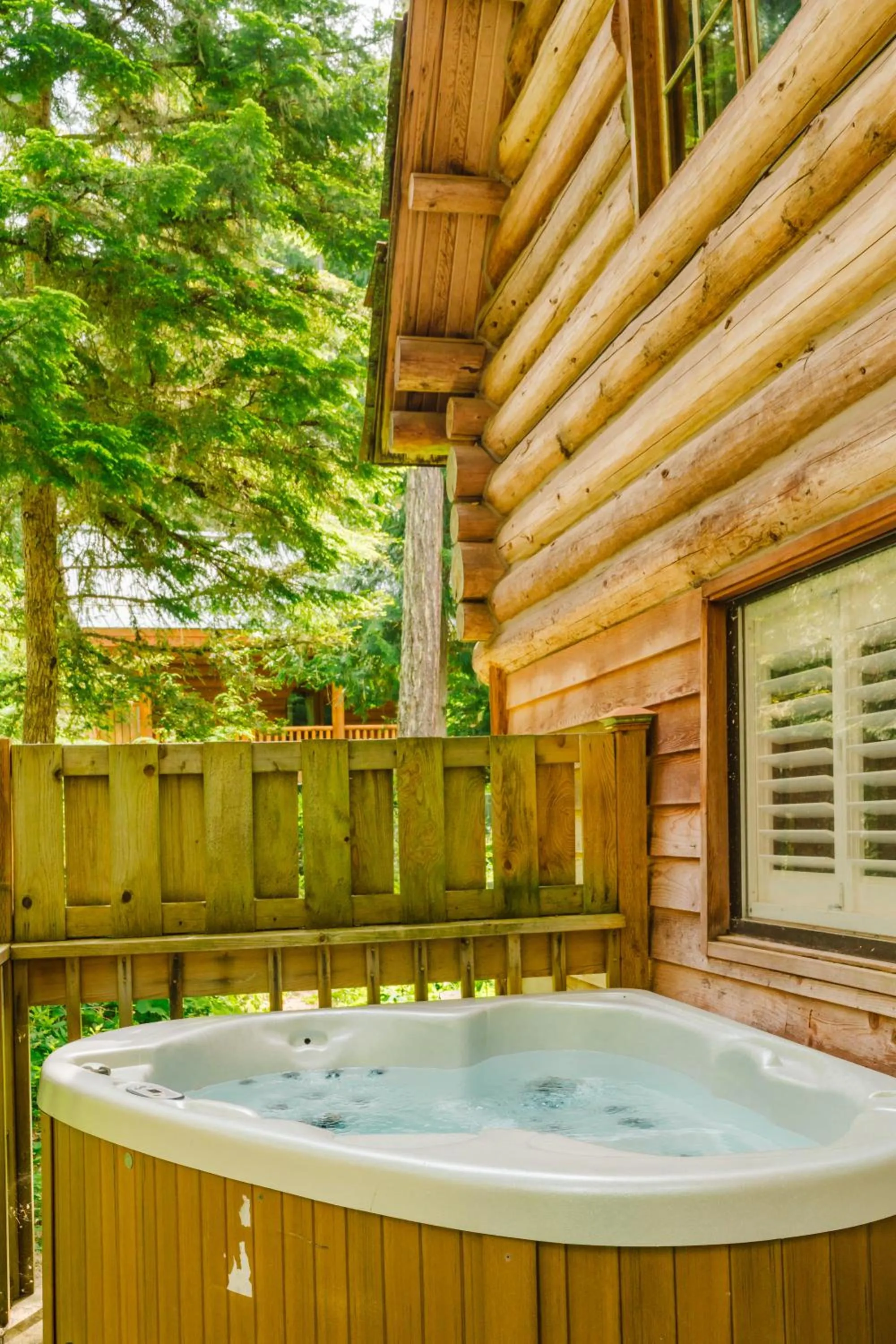 Hot Tub in LOGE Alta Crystal