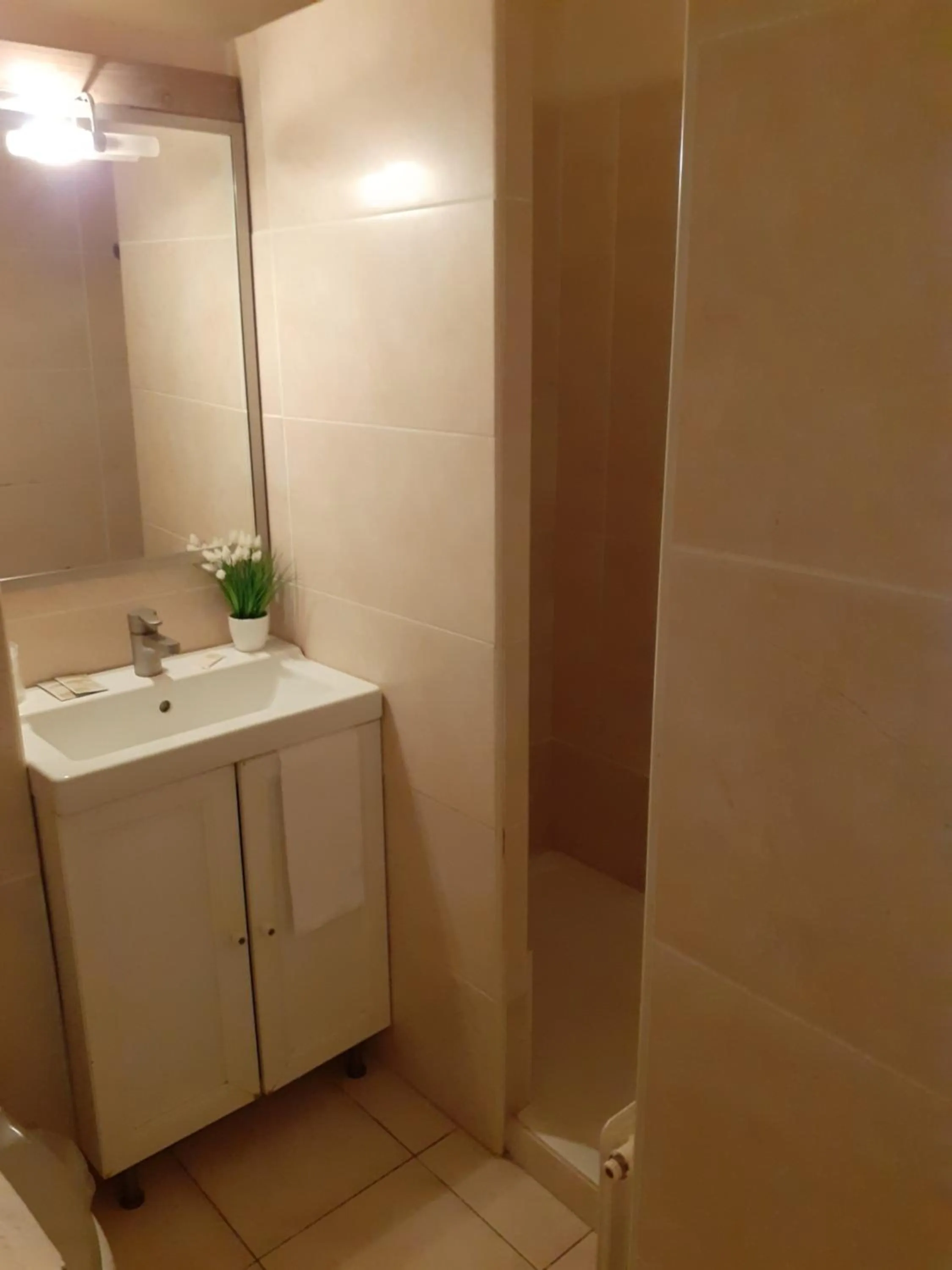 Shower in Hôtel Athéna