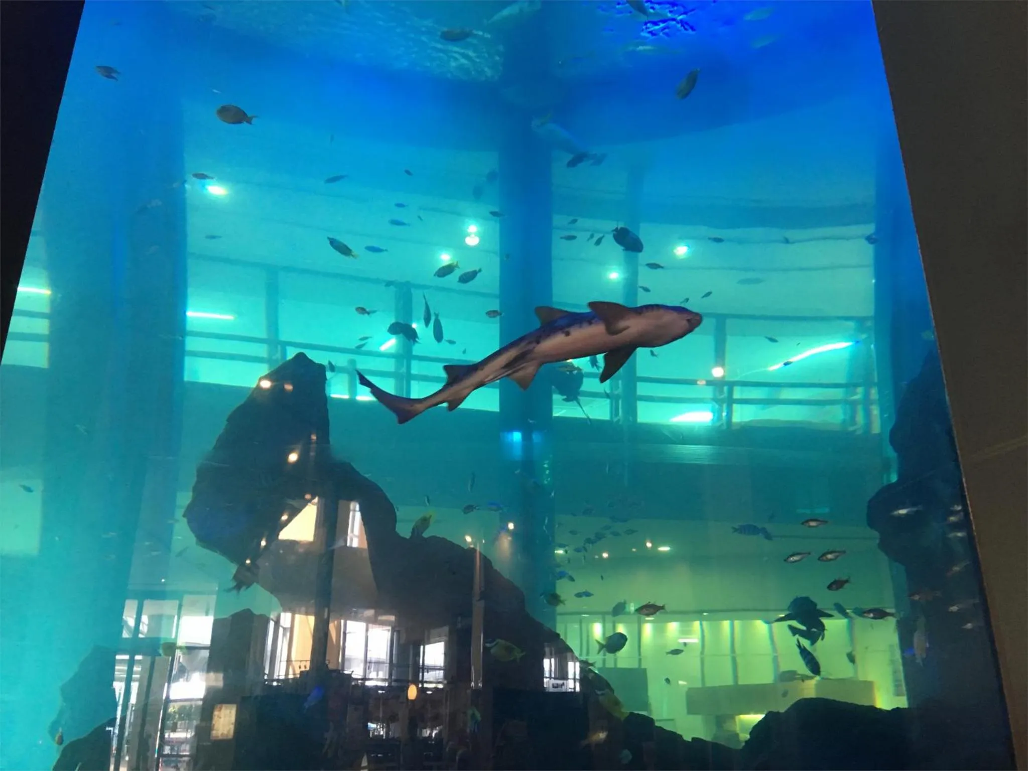 Off site in THE HOTELS HAKATA KASANE Bayside