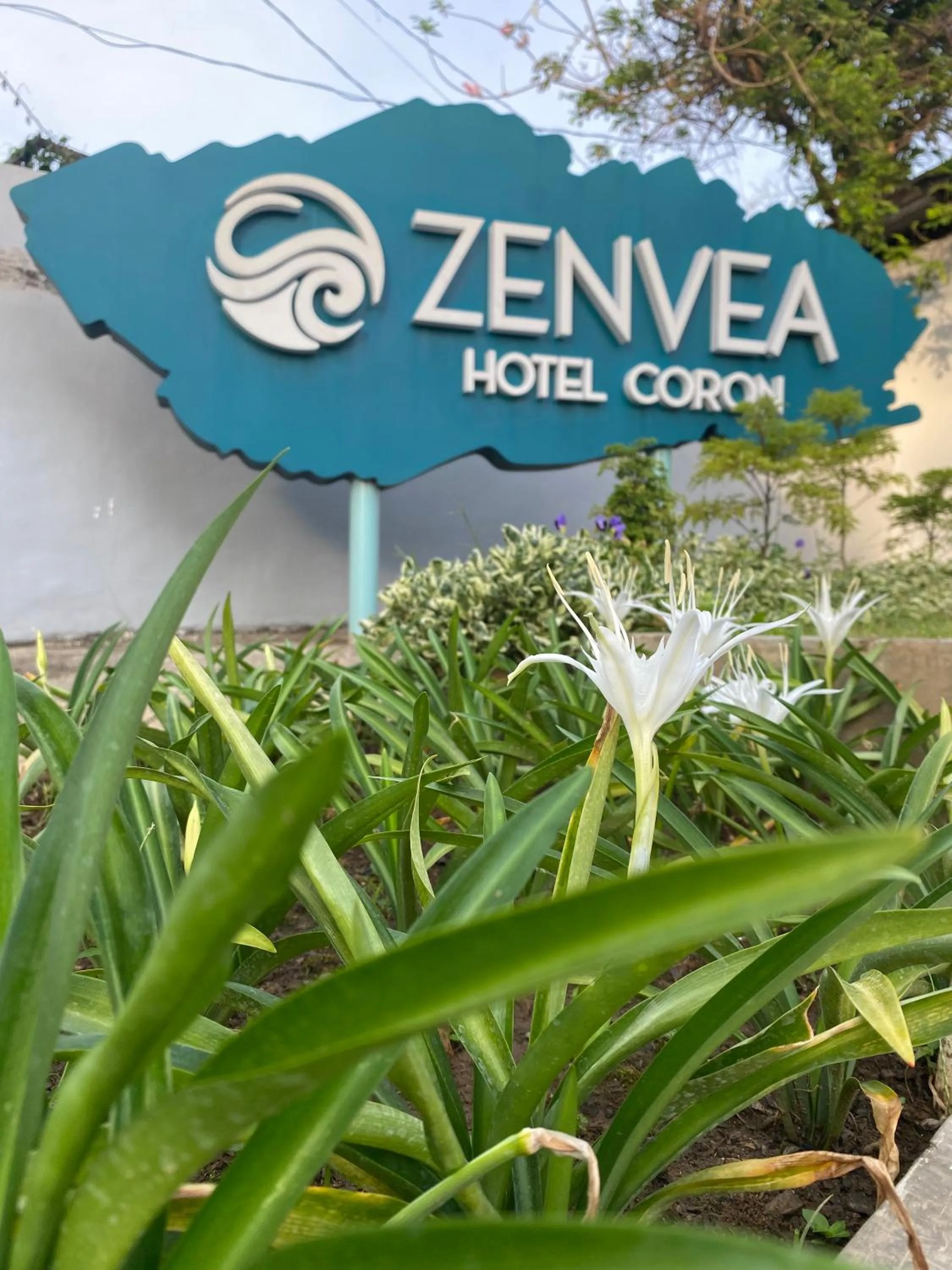 Day in Zenvea Hotel