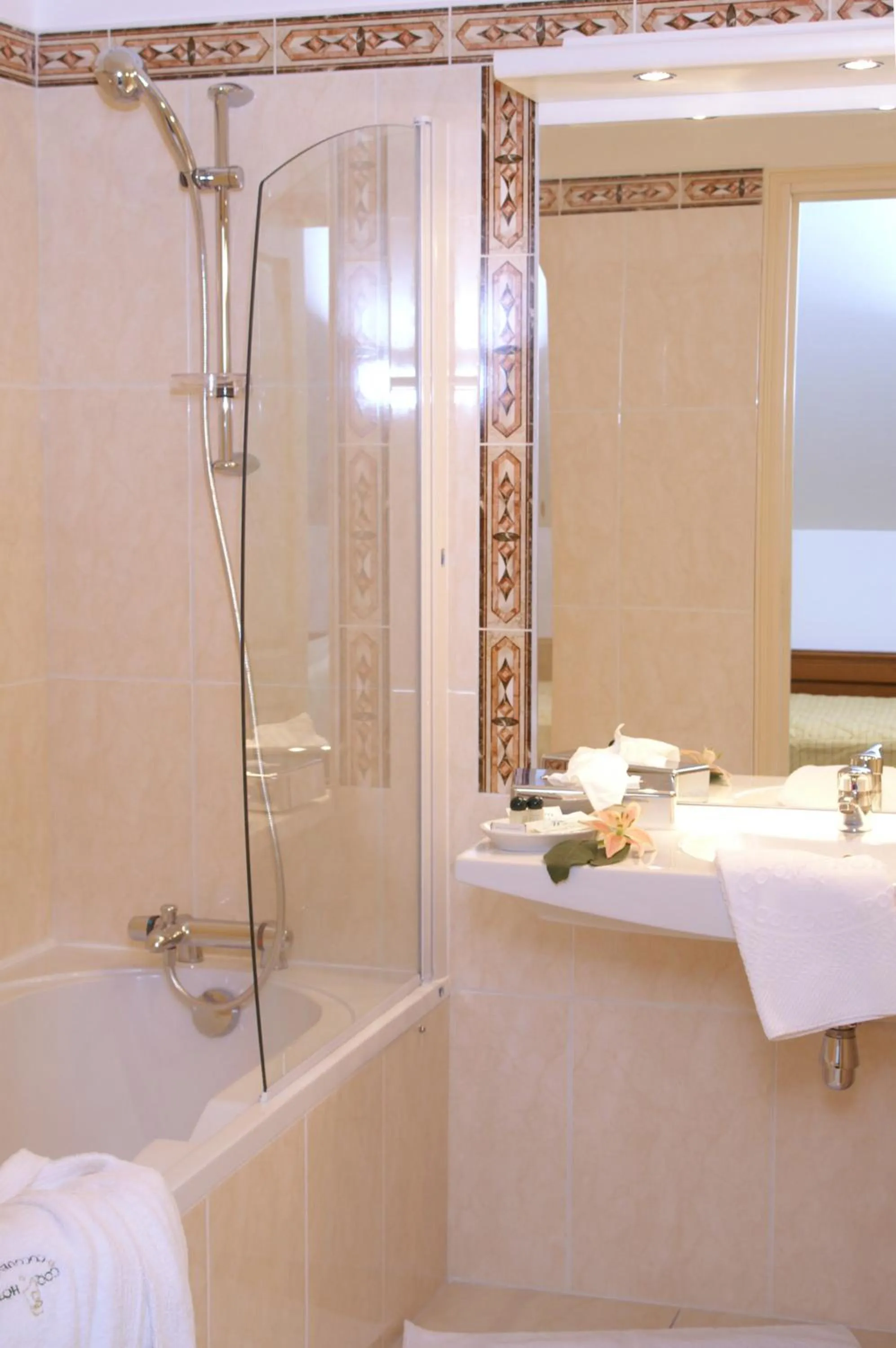 Bathroom in Coq hôtel