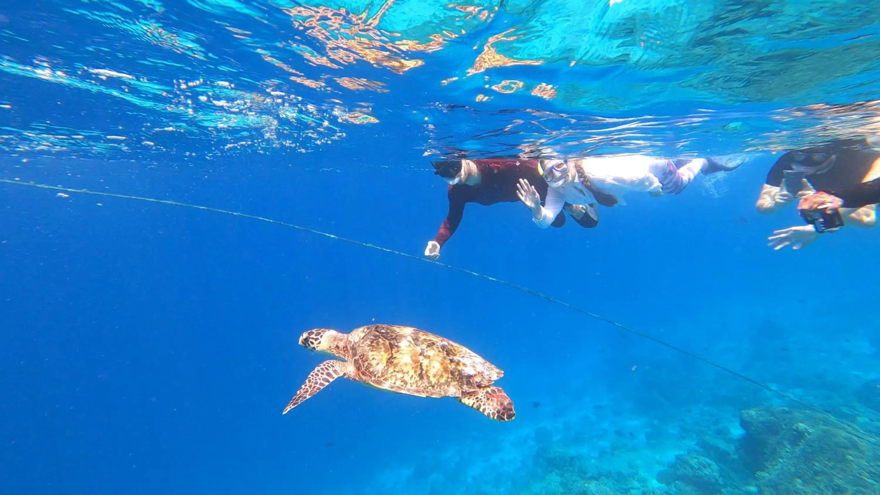 Snorkeling in Dhangethi INN
