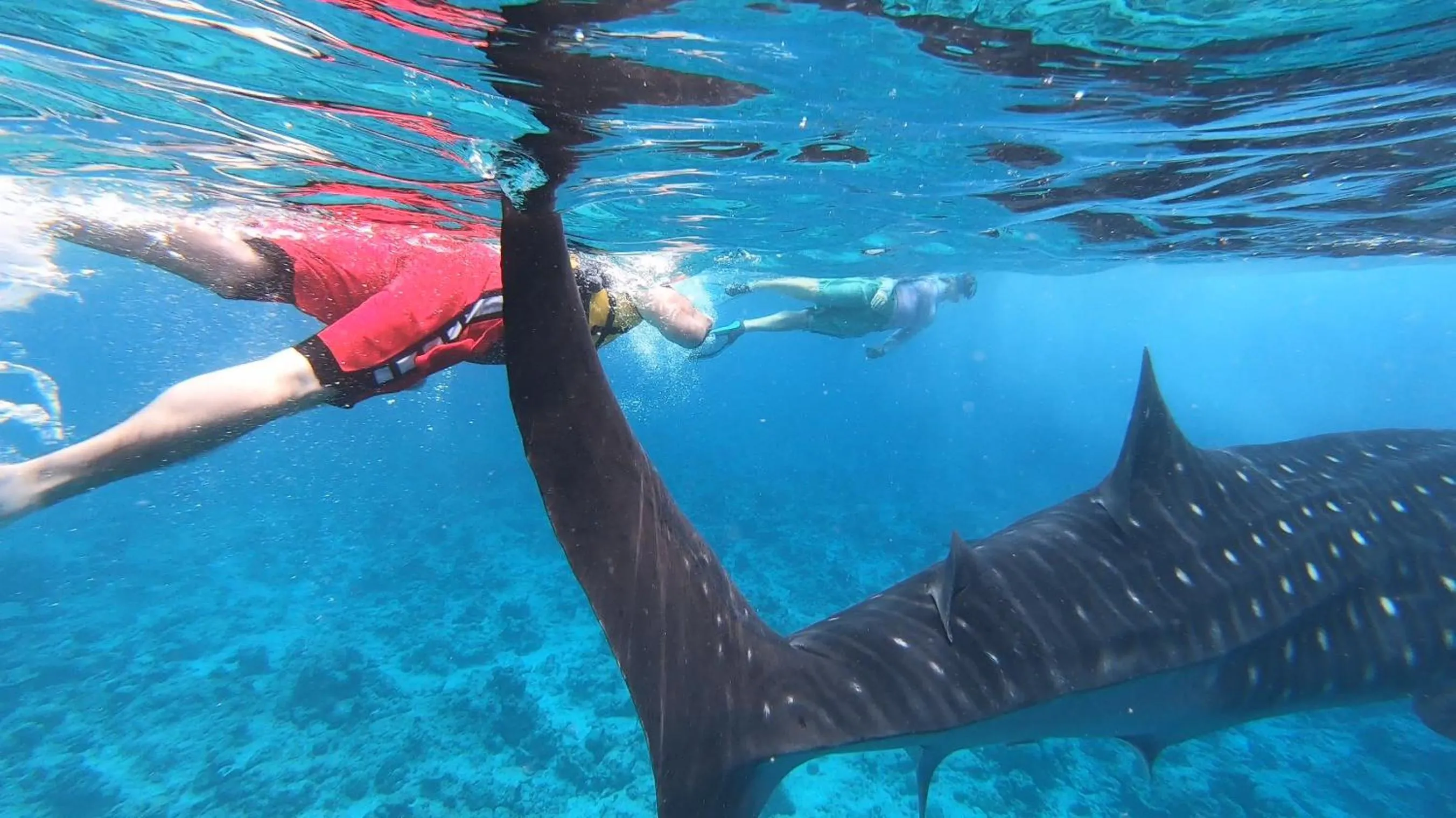 Snorkeling in Dhangethi INN