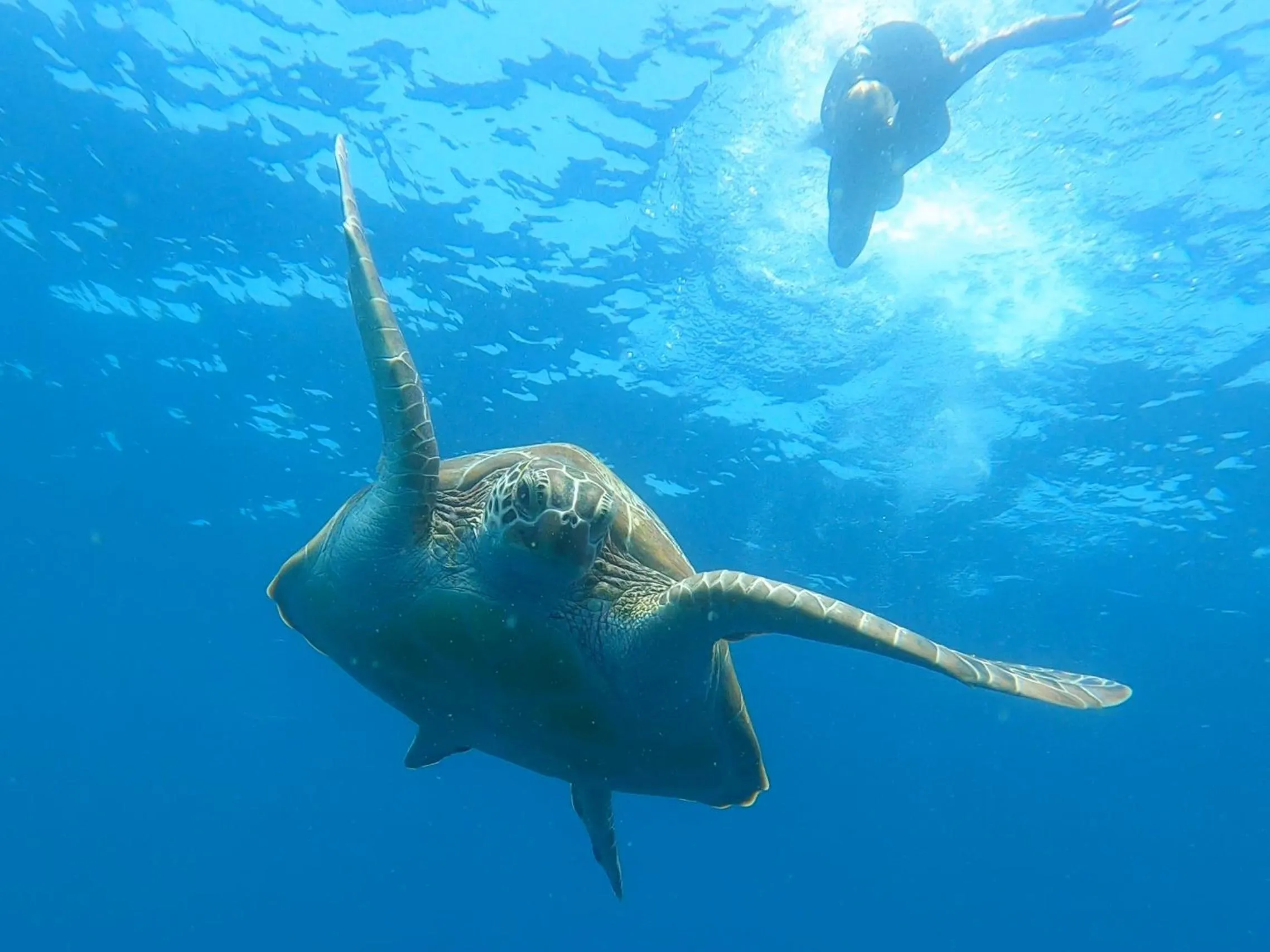 Activities in Dhangethi INN