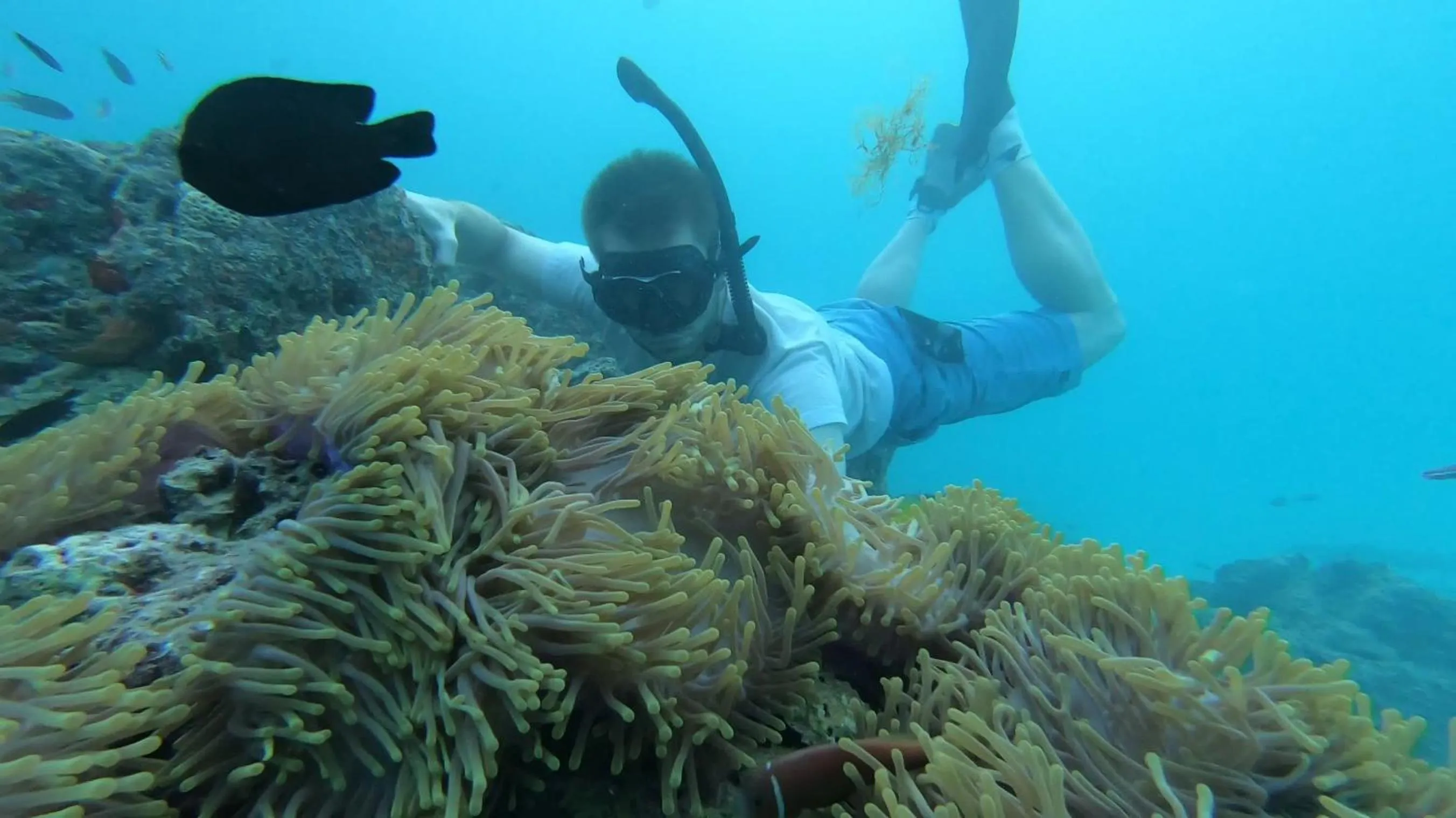 Snorkeling in Dhangethi INN