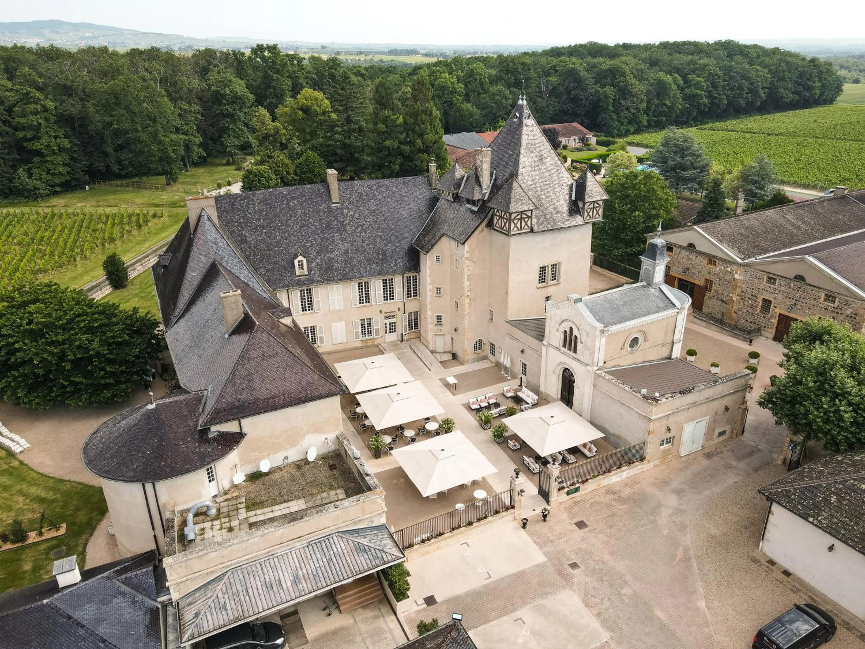 Property building in Château de Pizay