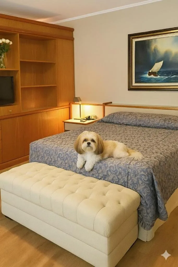 Pets in Cosmos Hotel