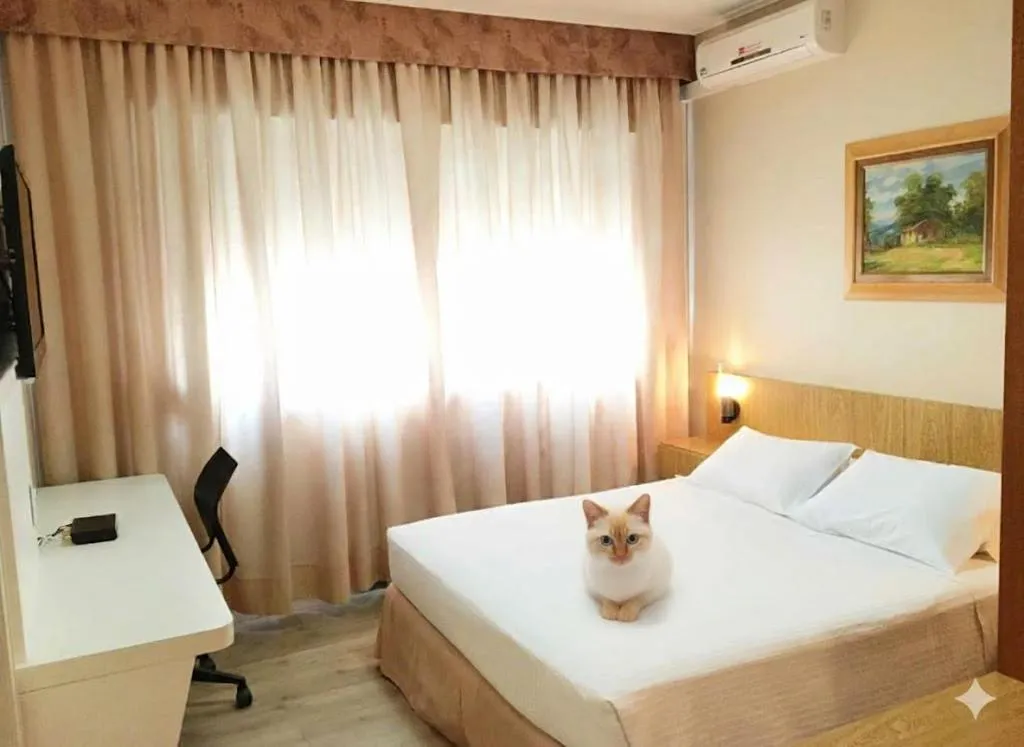 Pets, Bed in Cosmos Hotel