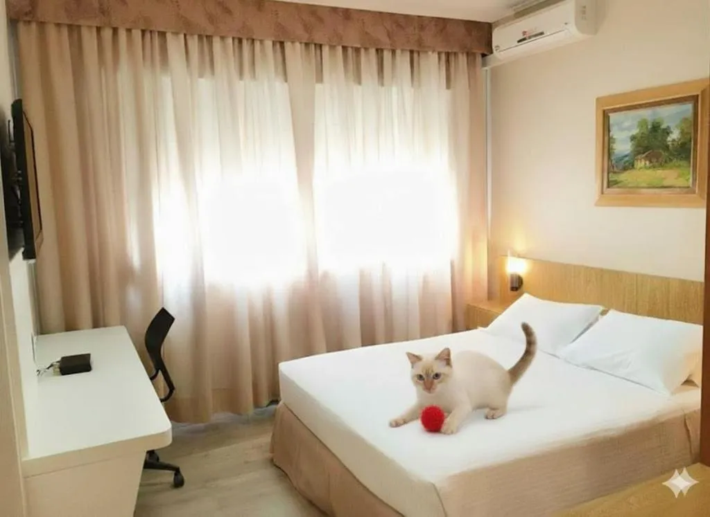Pets, Bed in Cosmos Hotel
