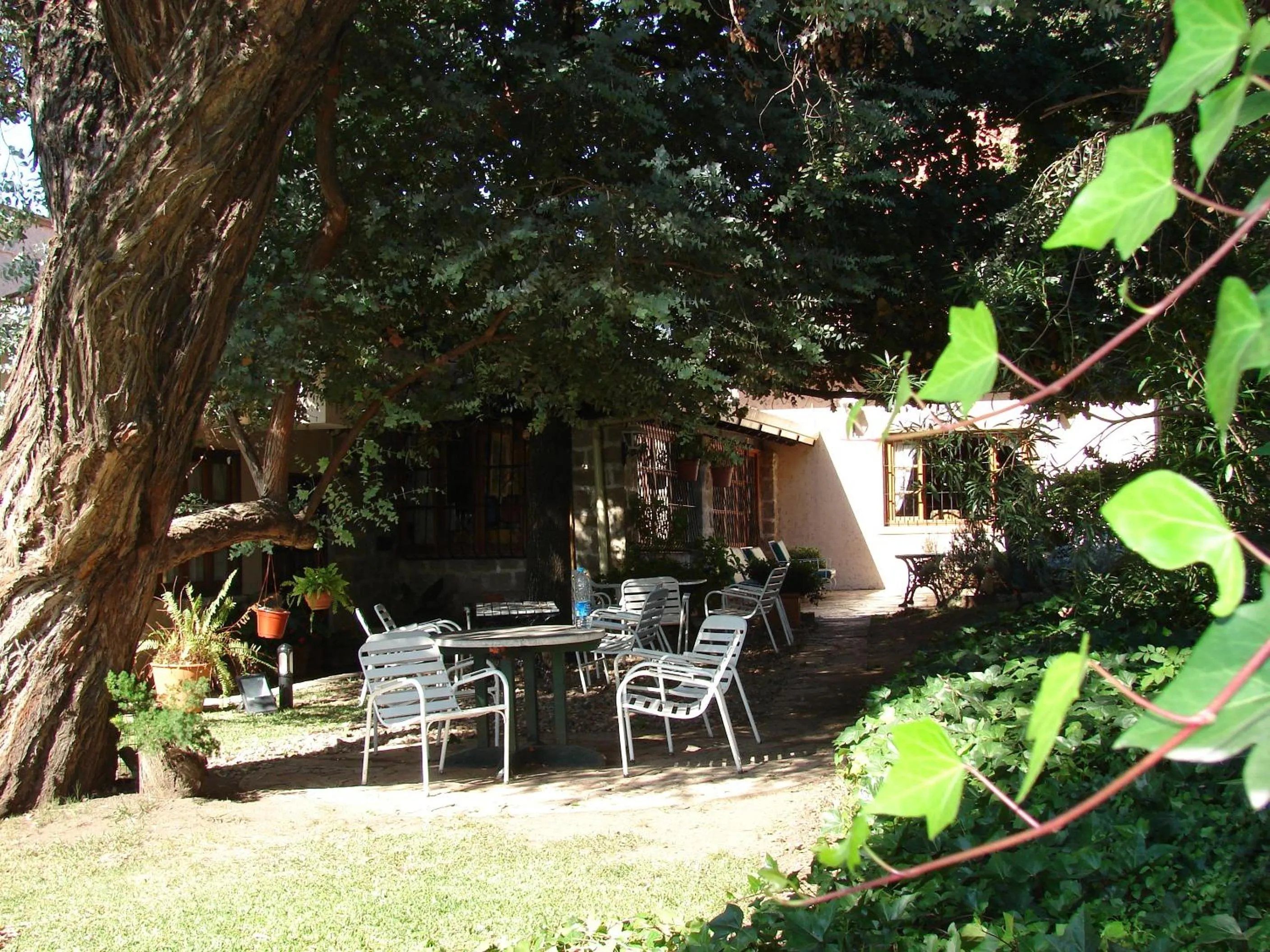 Garden in Los Espinillos Hotel y Spa