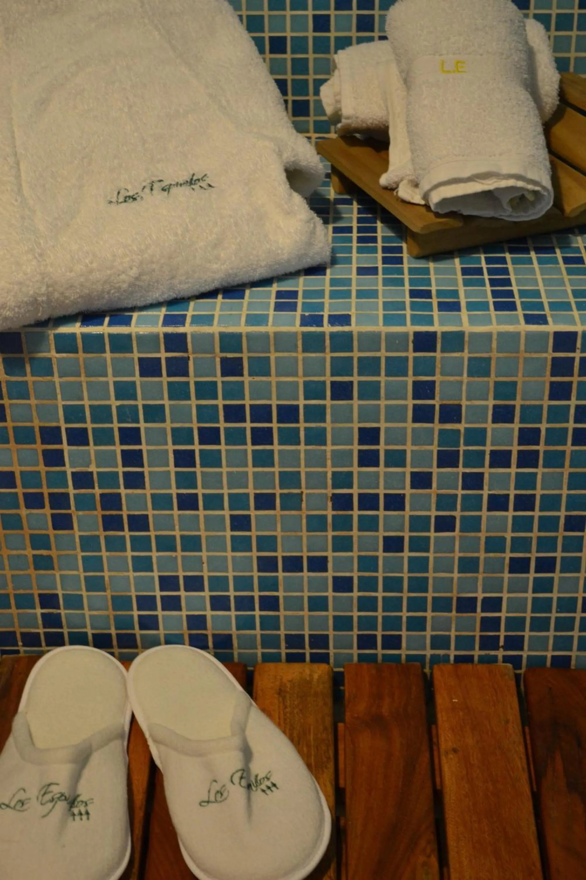 Other in Los Espinillos Hotel y Spa