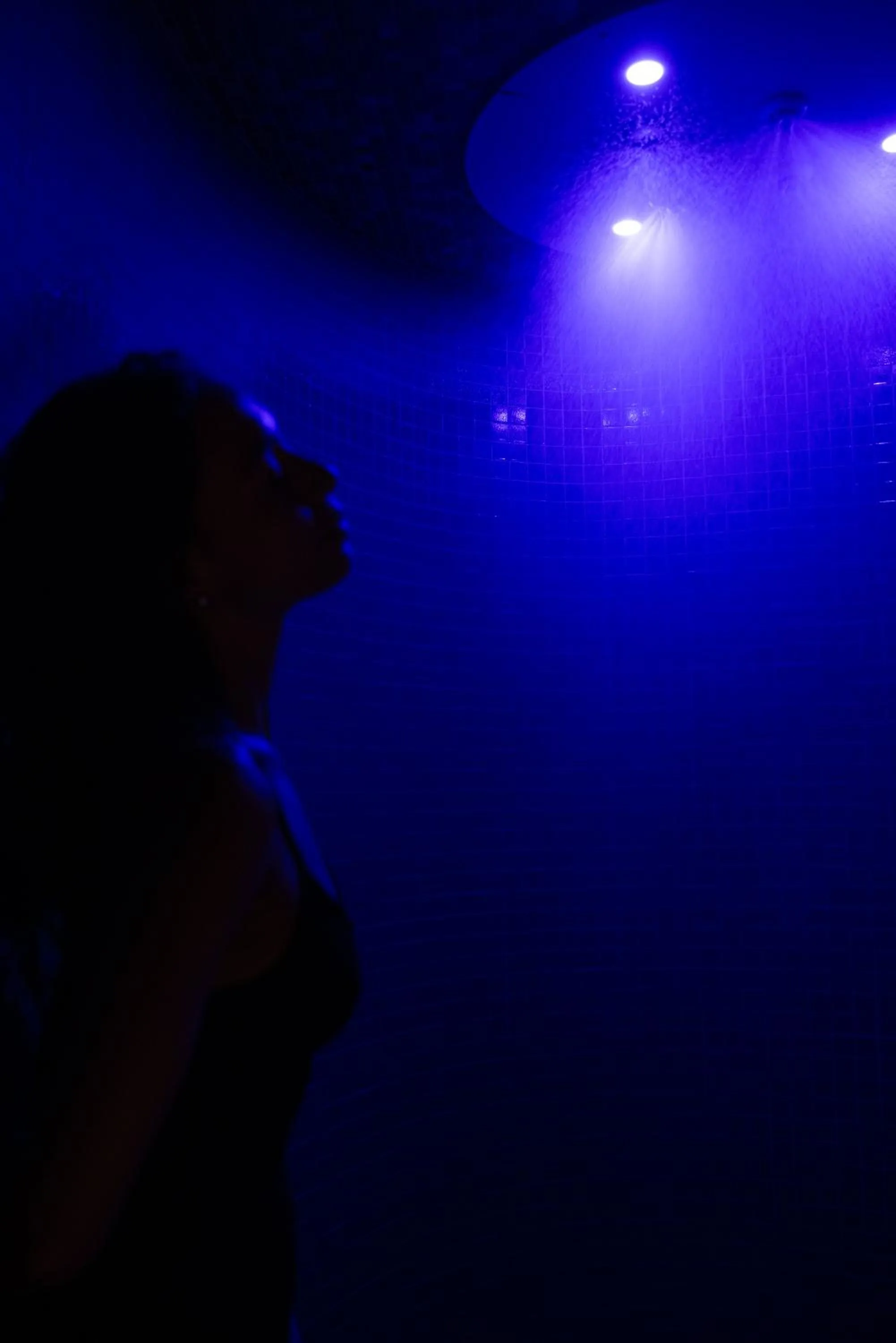 Hôtel & Spa Vitalparc, The Originals Collection