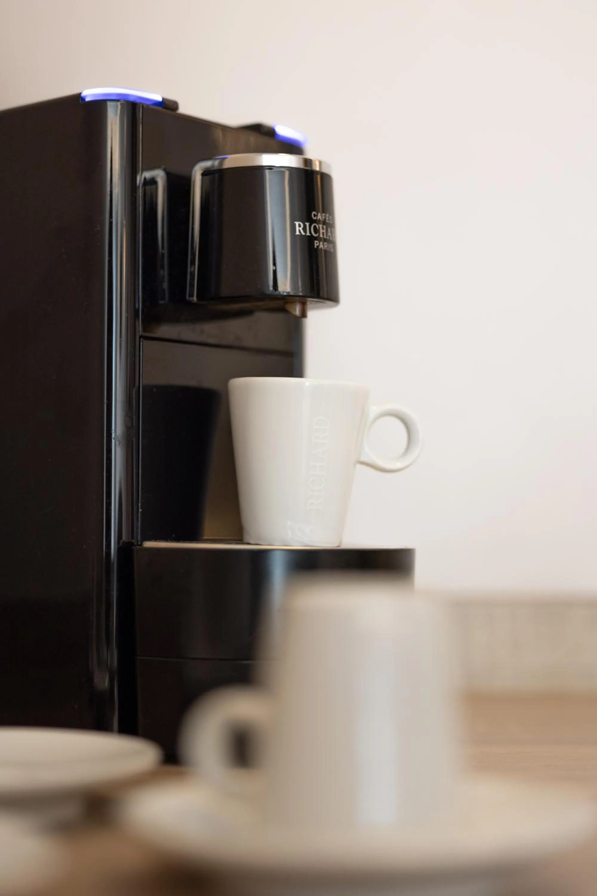 Hôtel & Spa Vitalparc, The Originals Collection