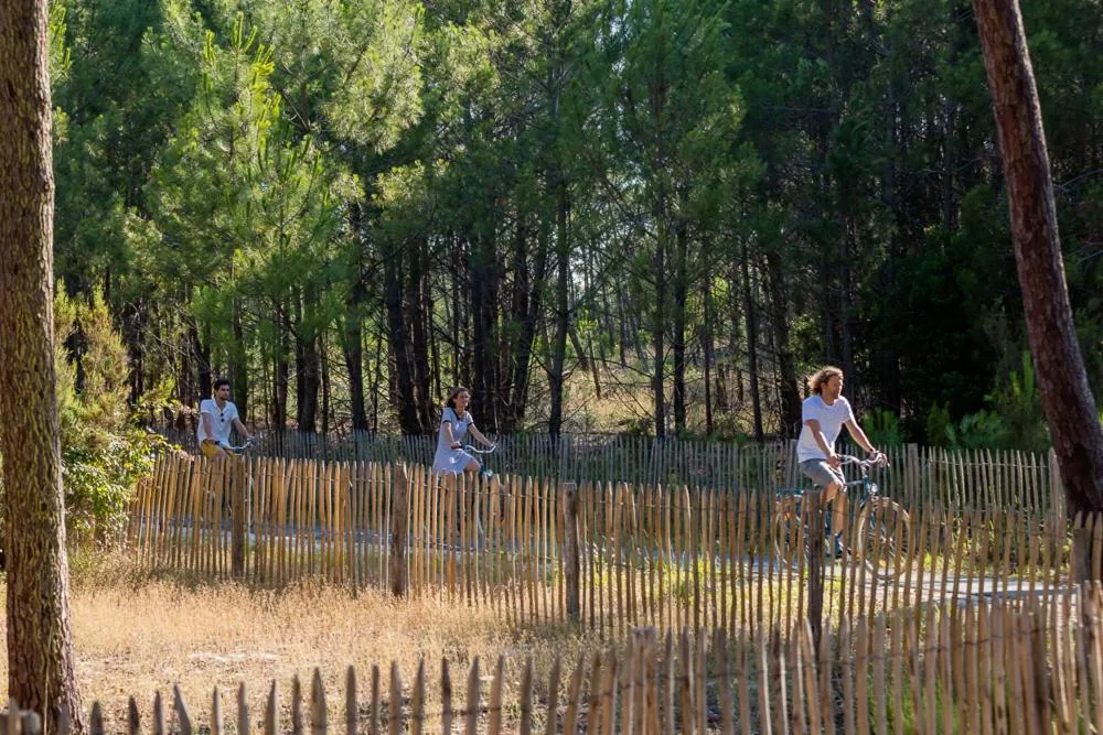 Natural landscape in Hôtel & Spa Vitalparc, The Originals Collection