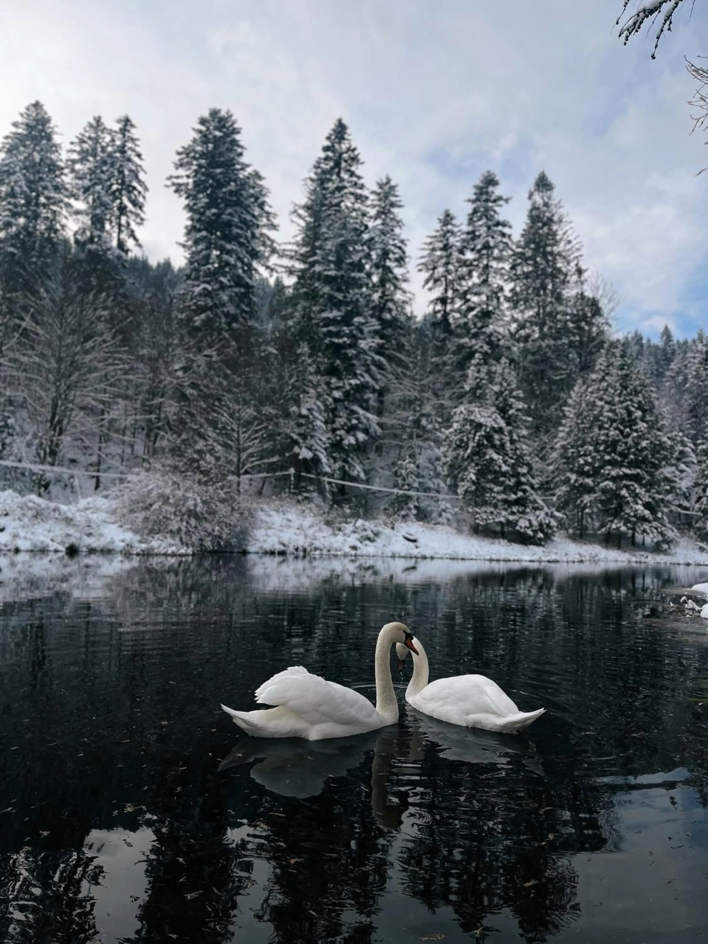 Property building in Aries Hotel & SPA Wisła
