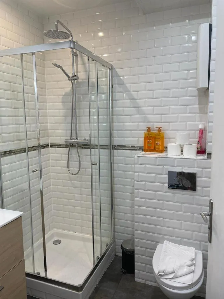 Shower in Maison le Bac Apartments