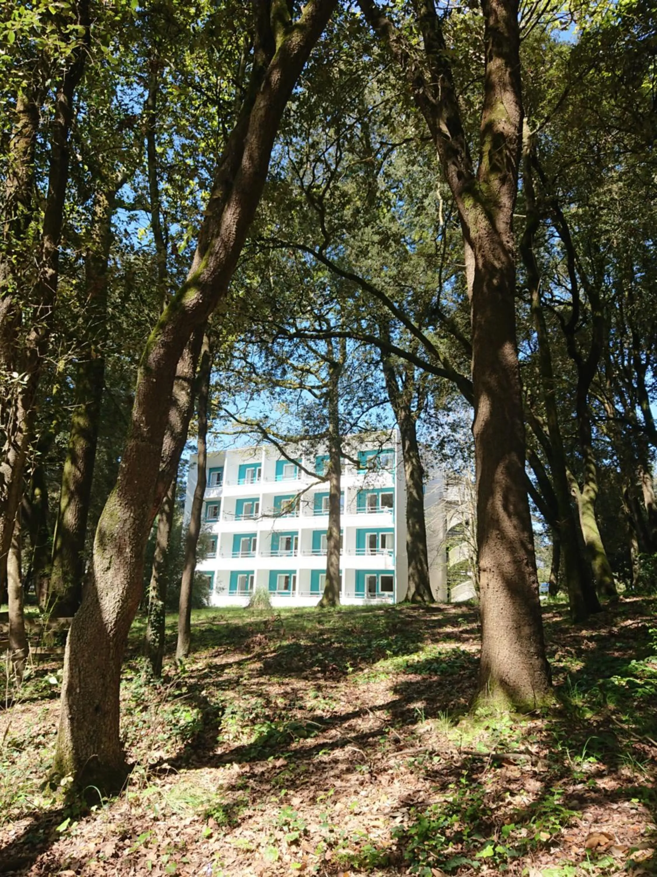 Garden in Hotel Ker Juliette