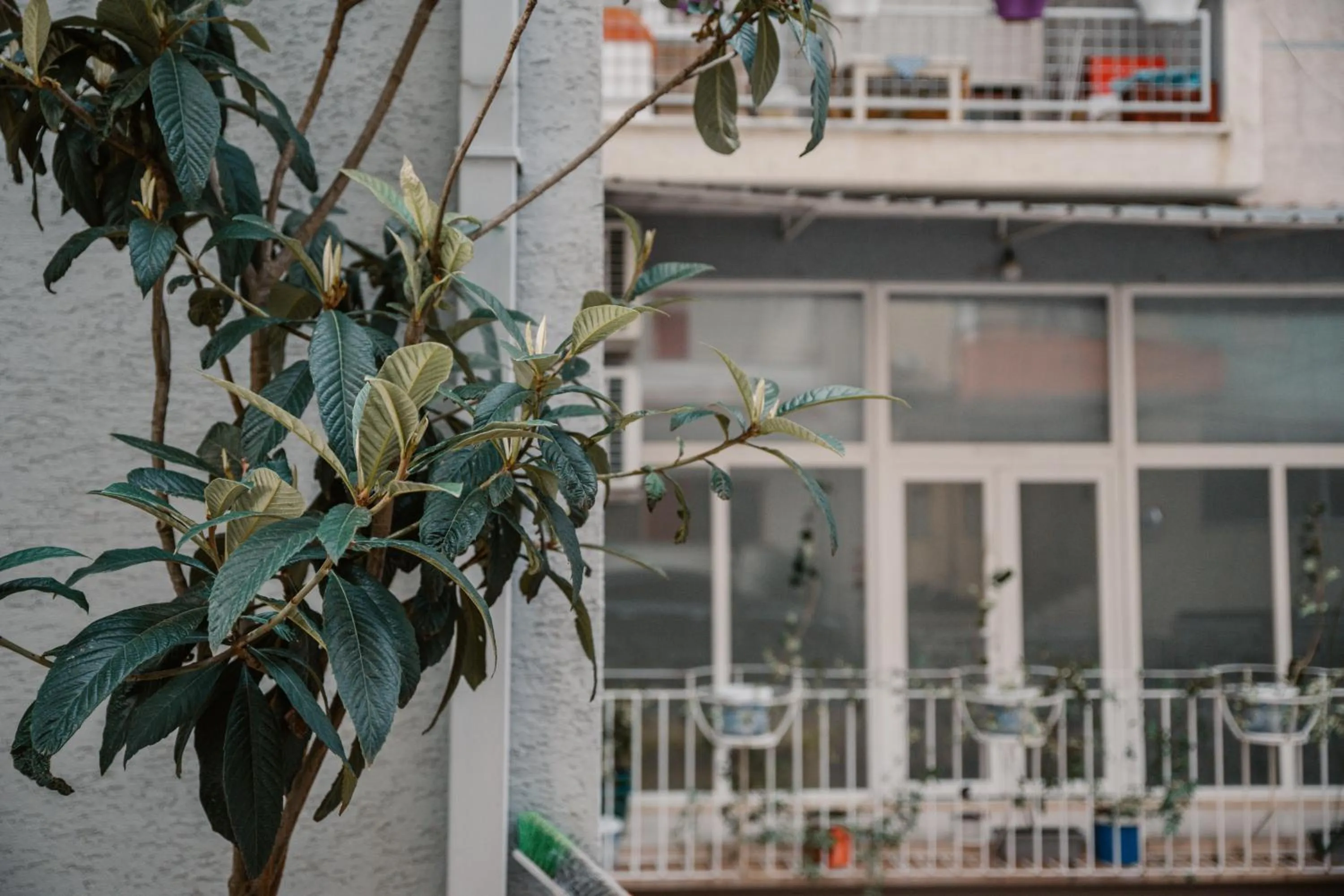 Property building in Sun&Moon Ohridlake Apartments