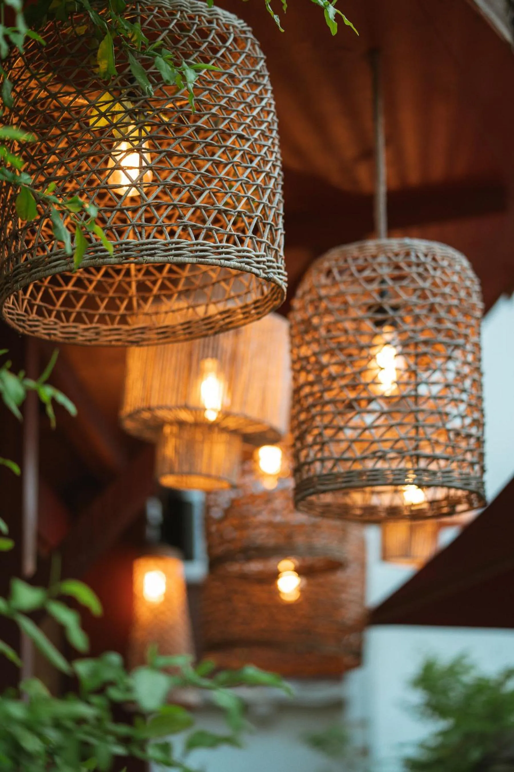 Restaurant/places to eat in Hotel Saint Julien