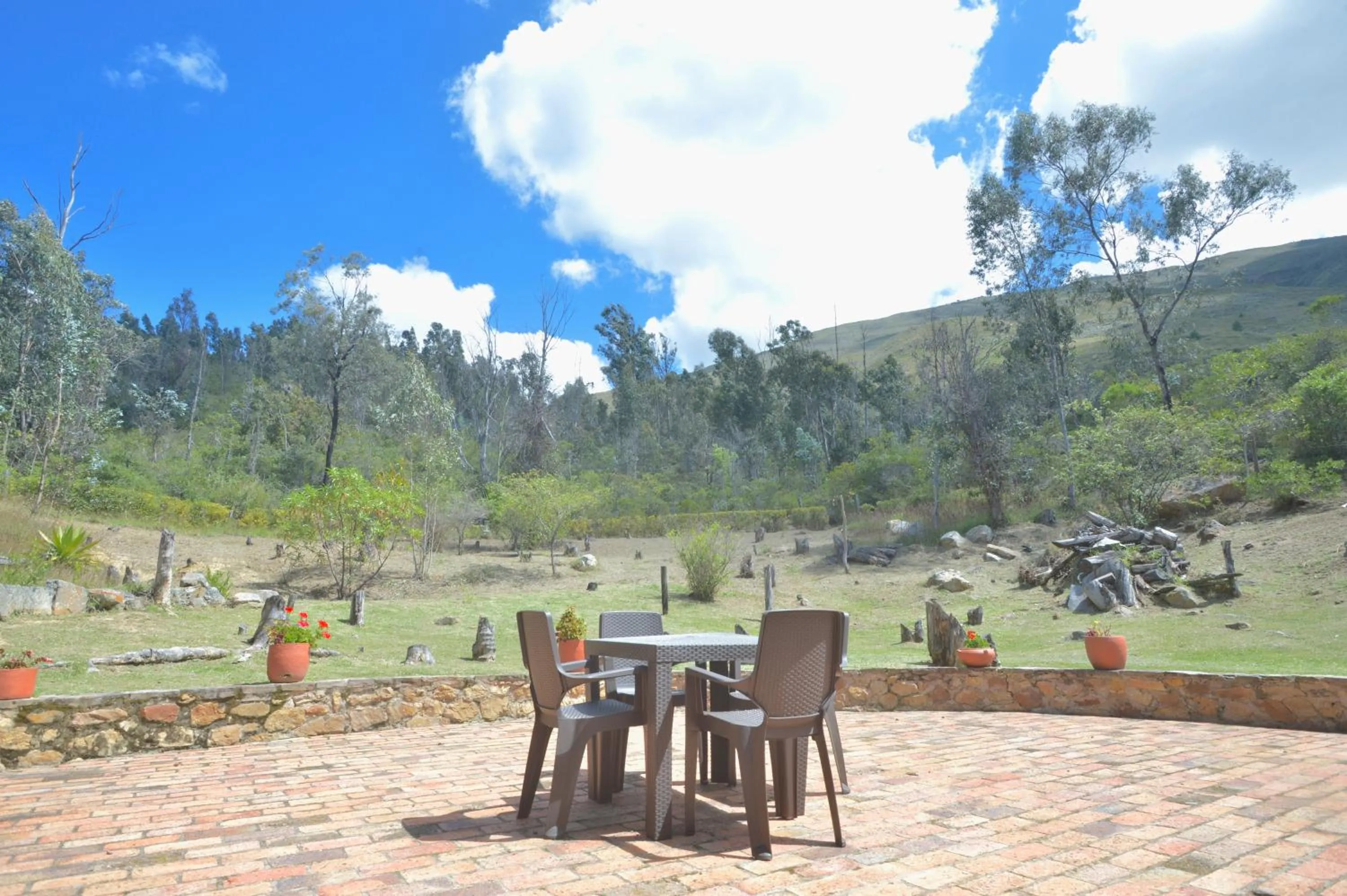 Garden in Hospederia Centro de Convenciones Duruelo