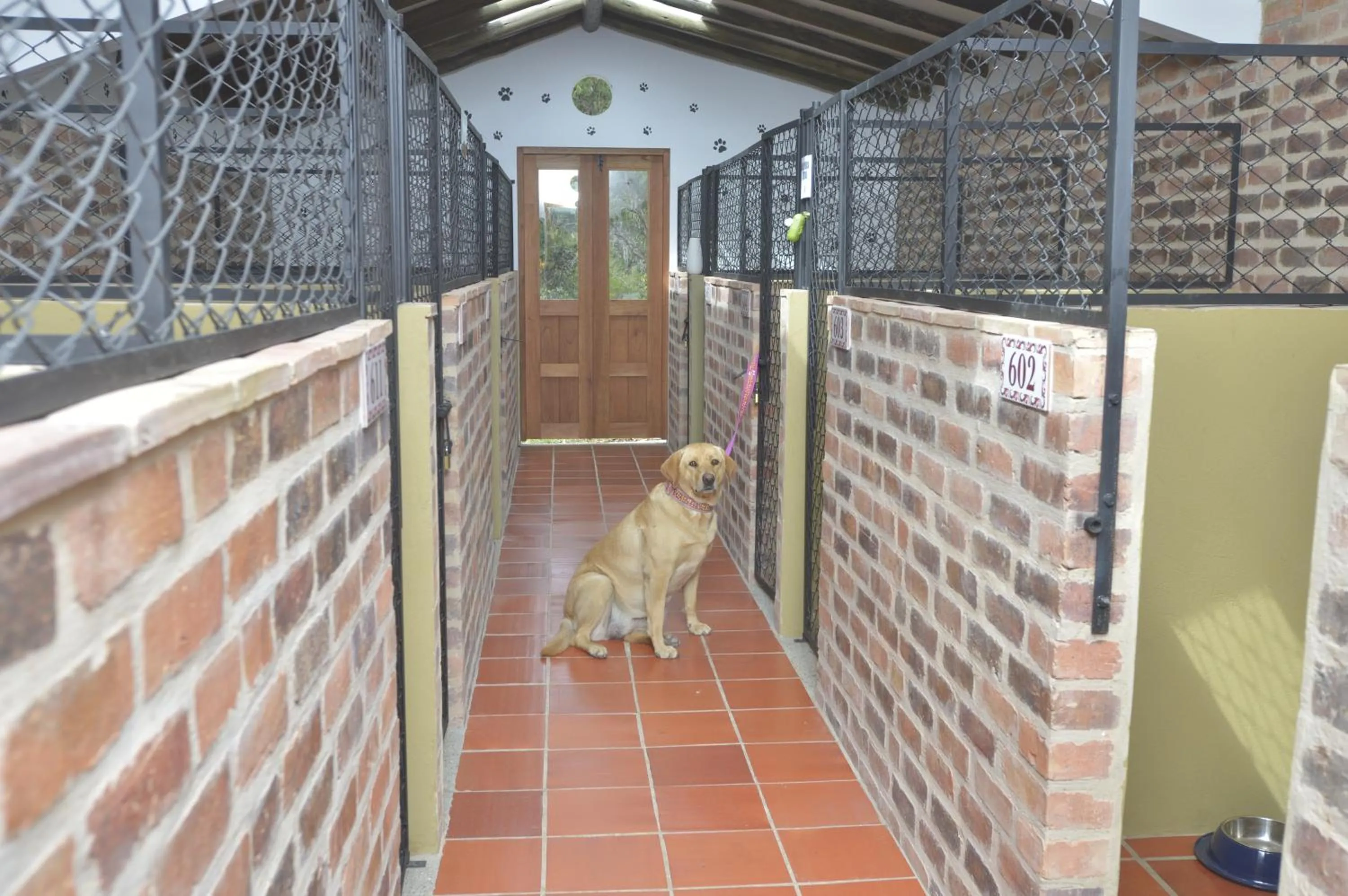 Animals in Hospederia Centro de Convenciones Duruelo