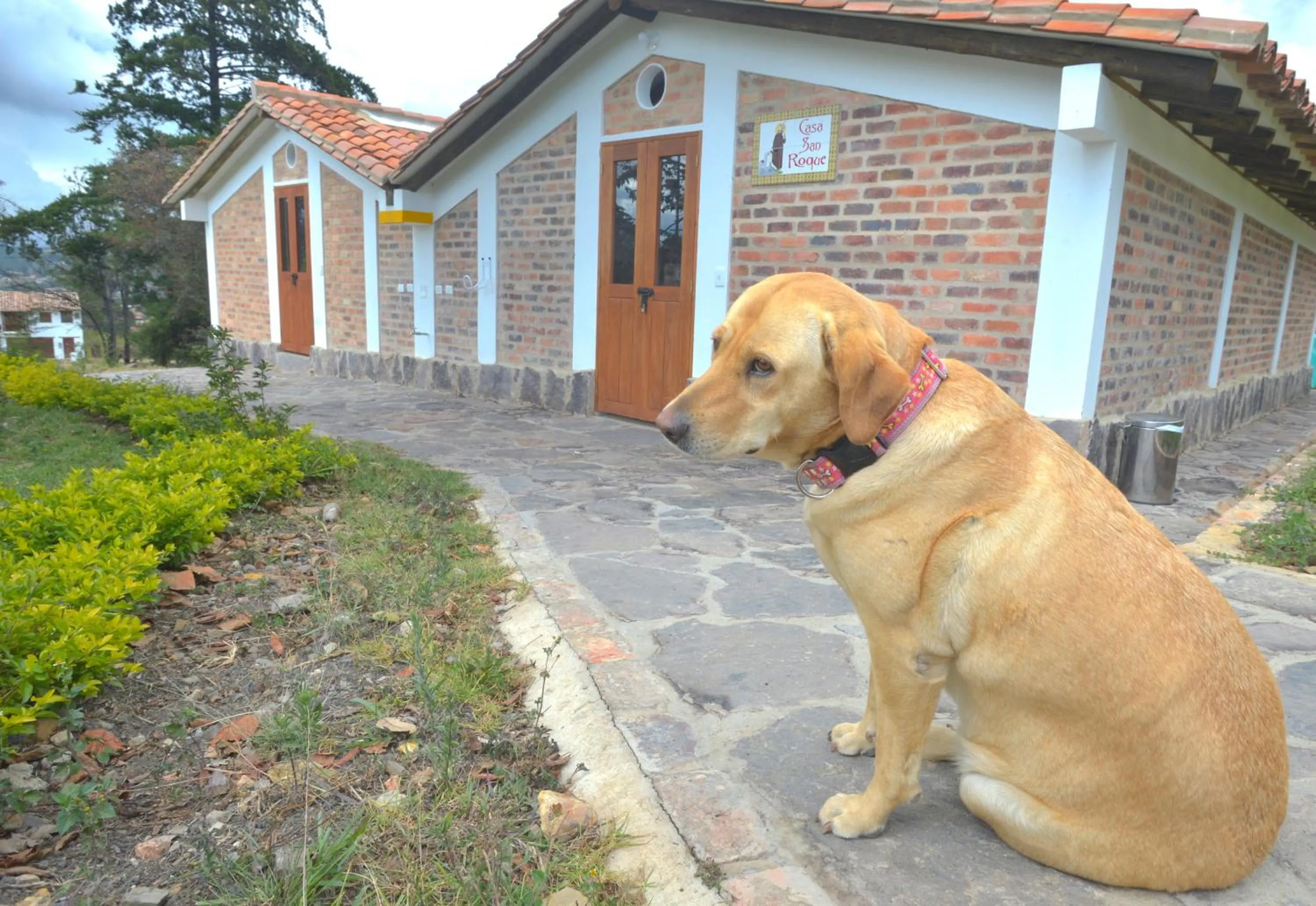 Pets in Hospederia Centro de Convenciones Duruelo