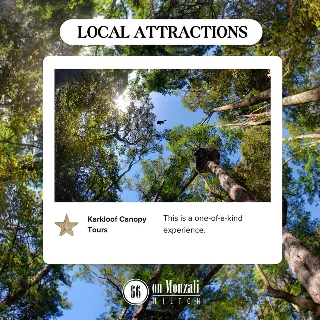 Neighbourhood in 66 On Monzali 4 Star Luxury Guesthouse