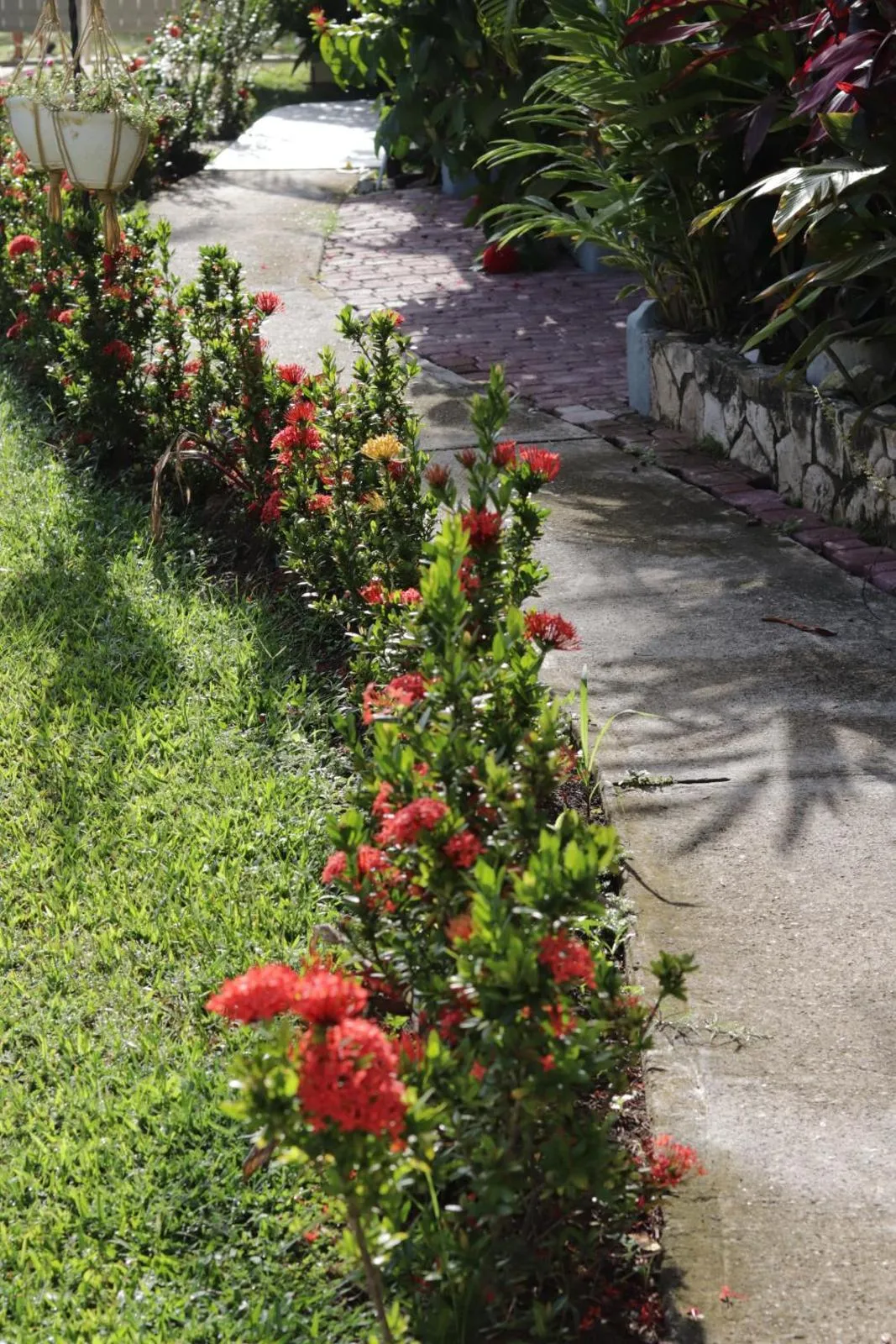 Garden in Rayon Hotel