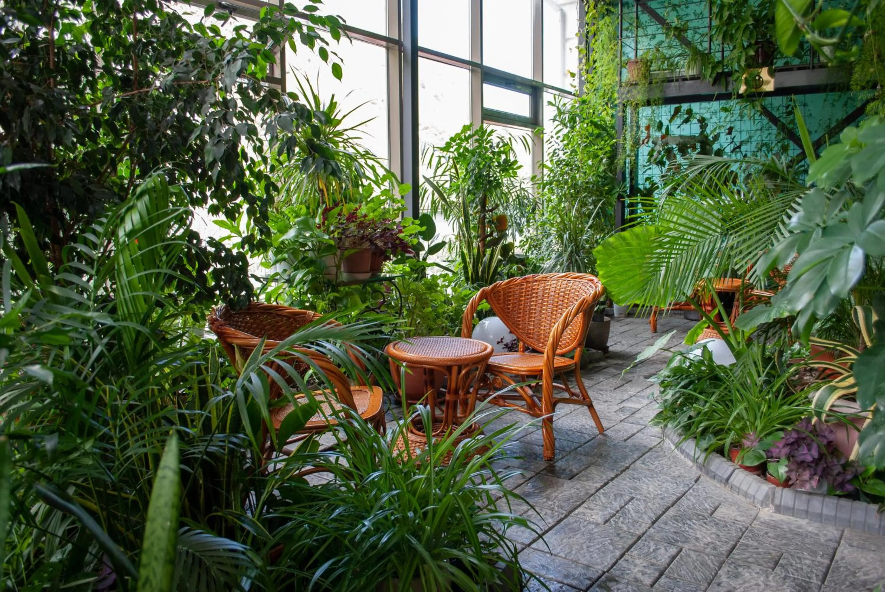 Garden in Jannat Resort