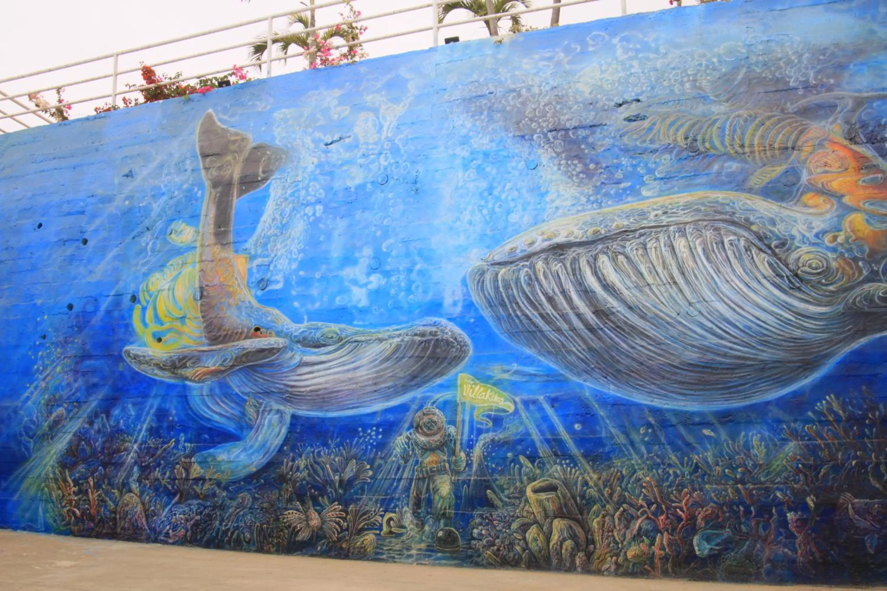 Garden in Villa Kite