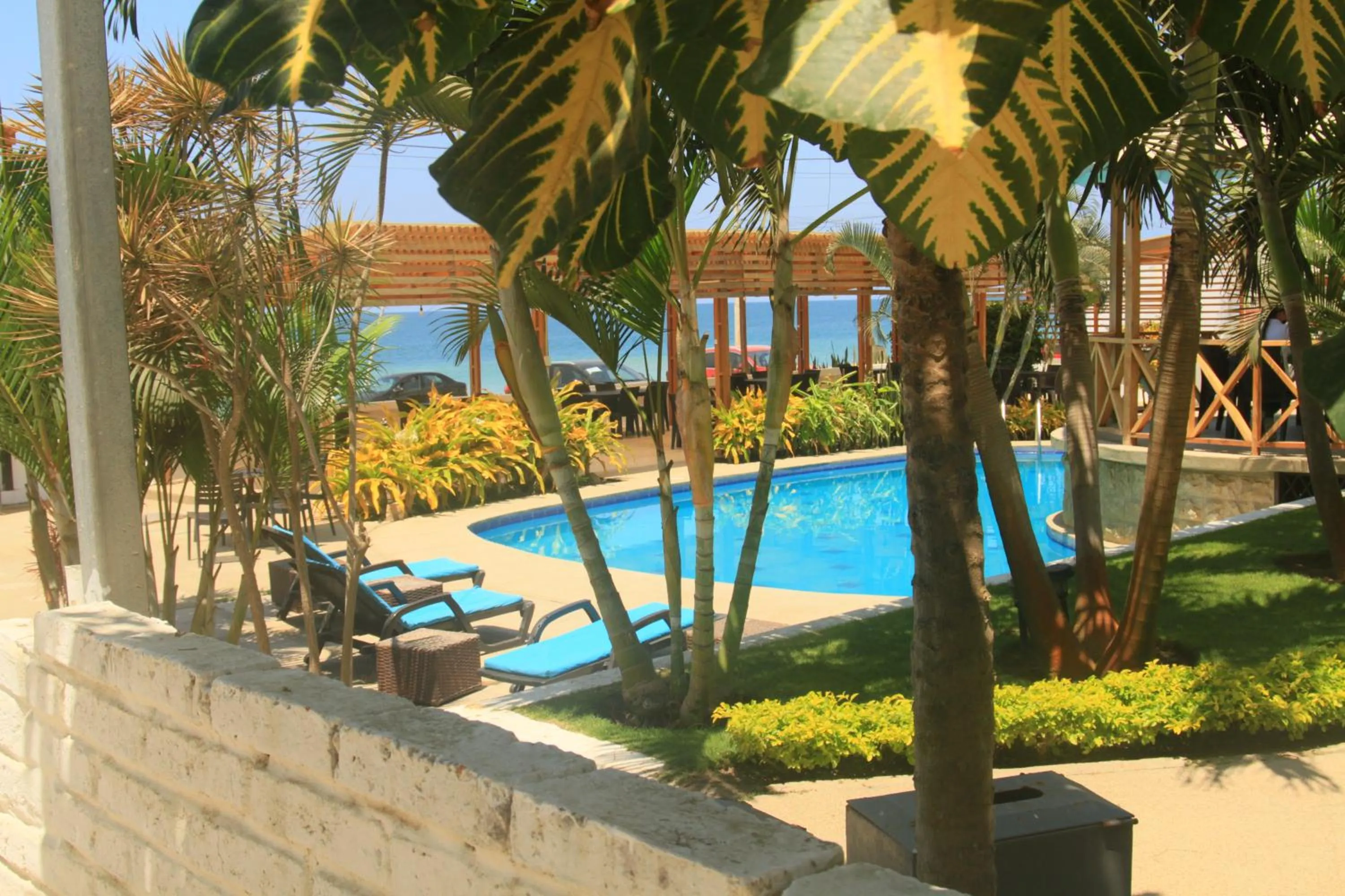 Garden in Villa Kite