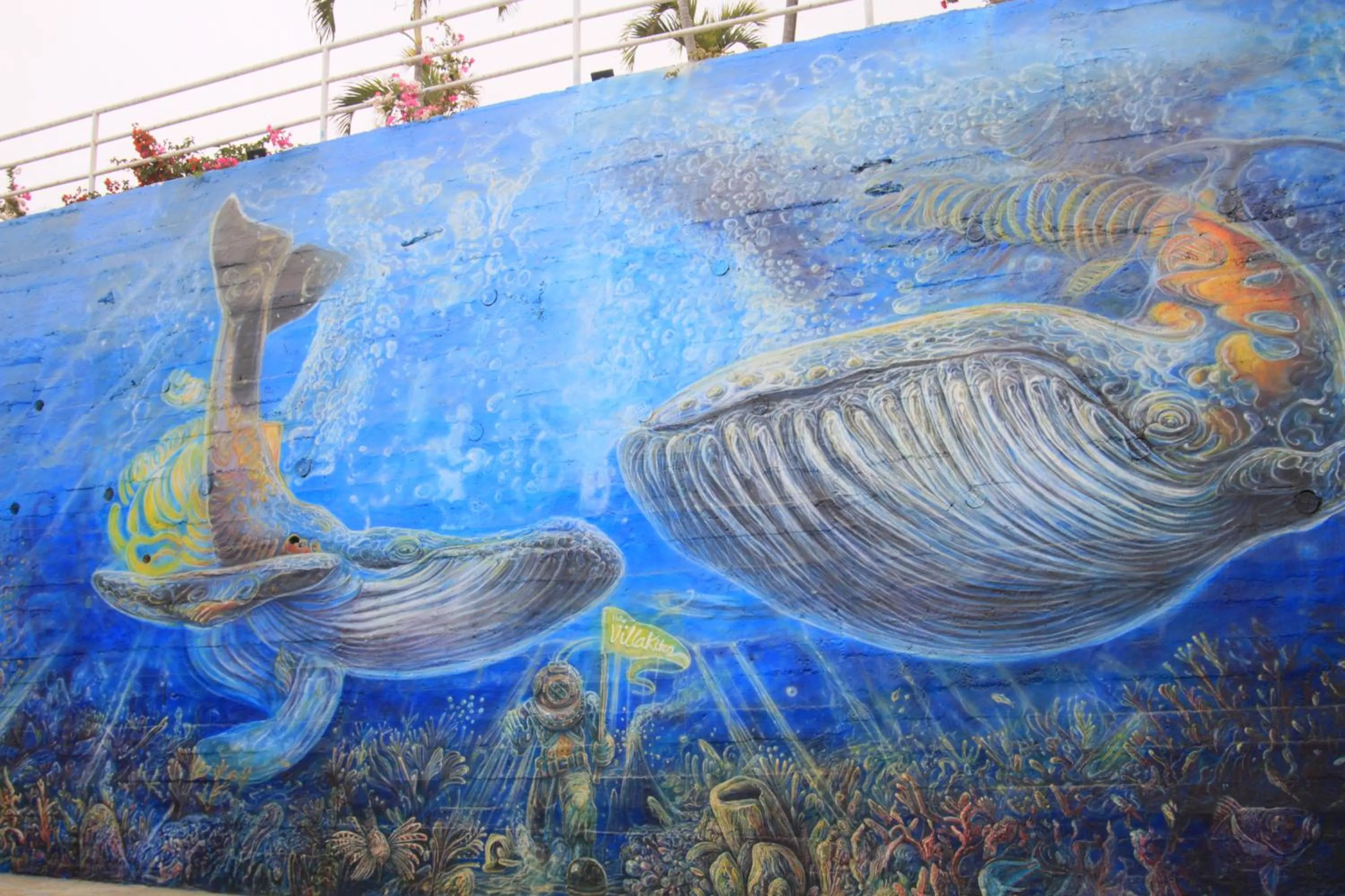 Garden in Villa Kite