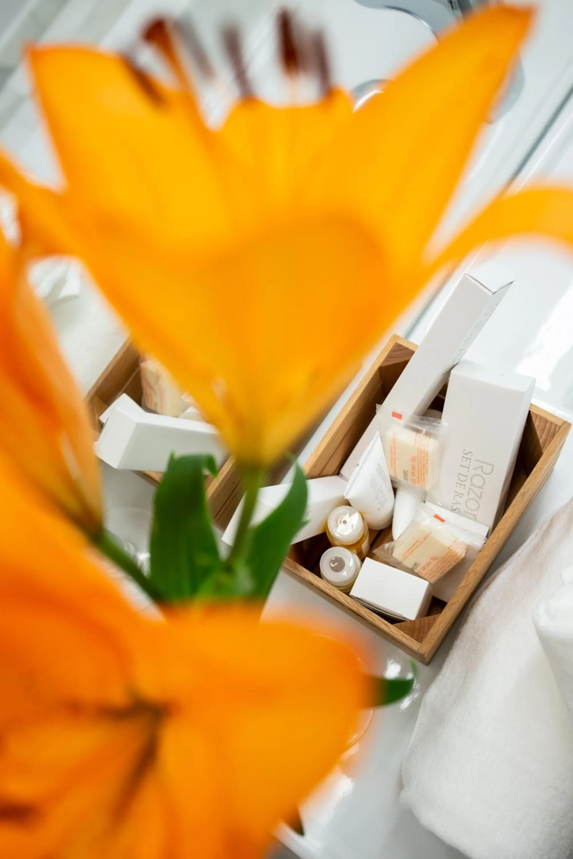 Decorative detail in Plazuela del Carbón Suites