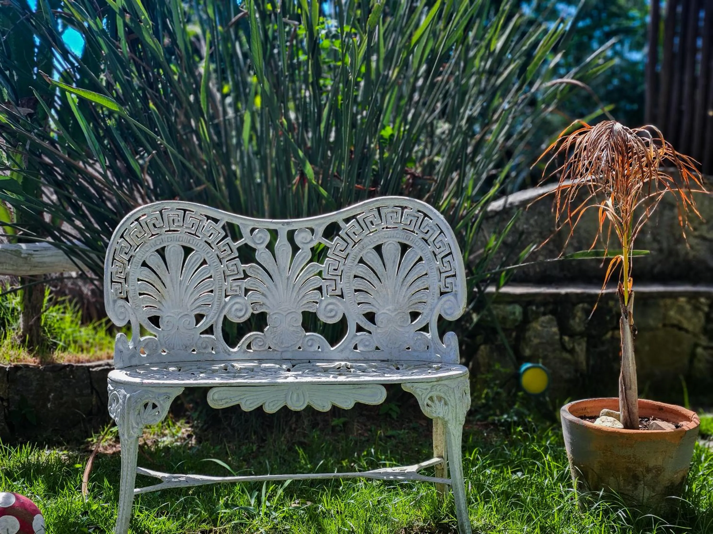 Bella Vista Ocean View