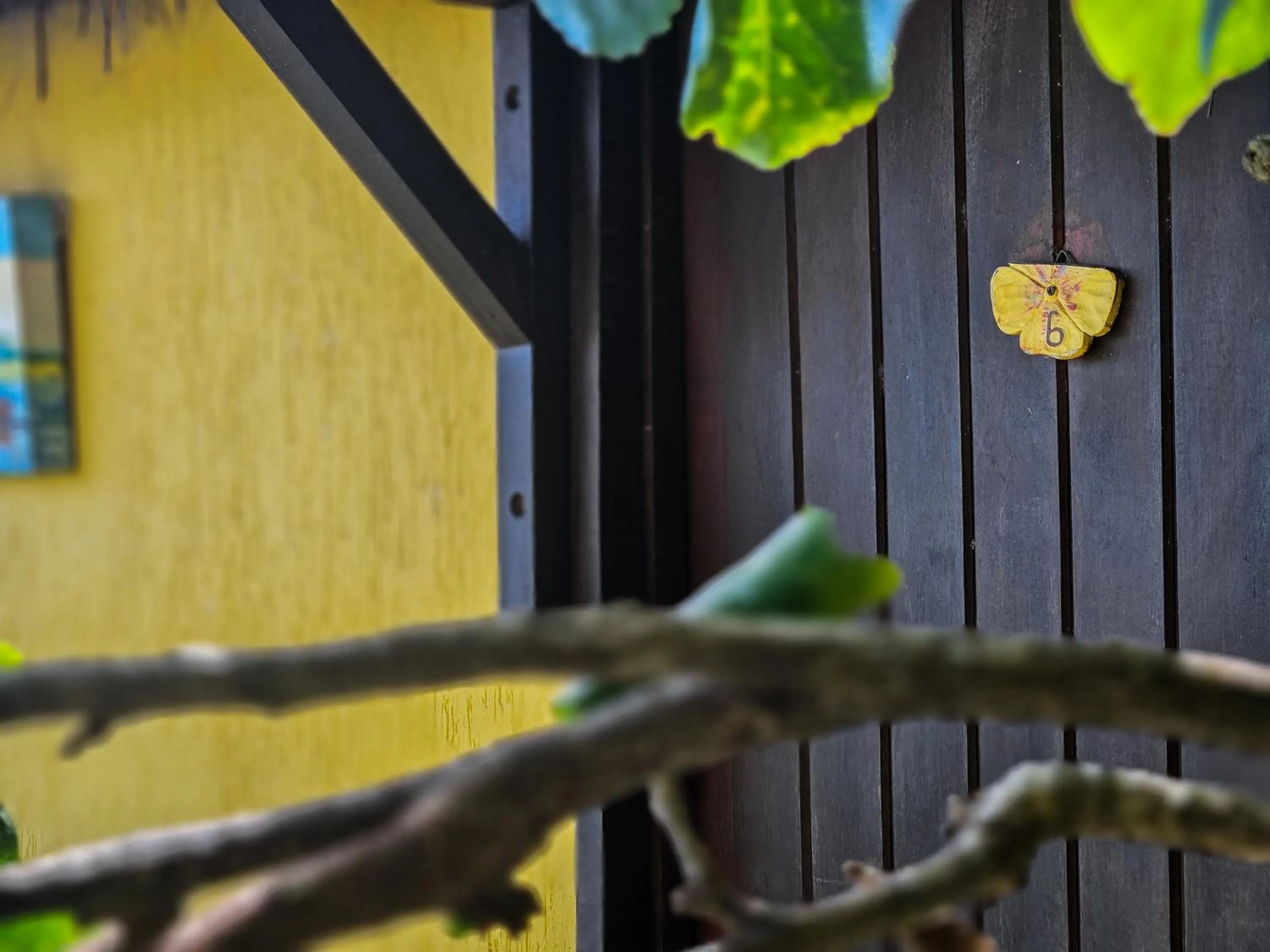 Bella Vista Ocean View