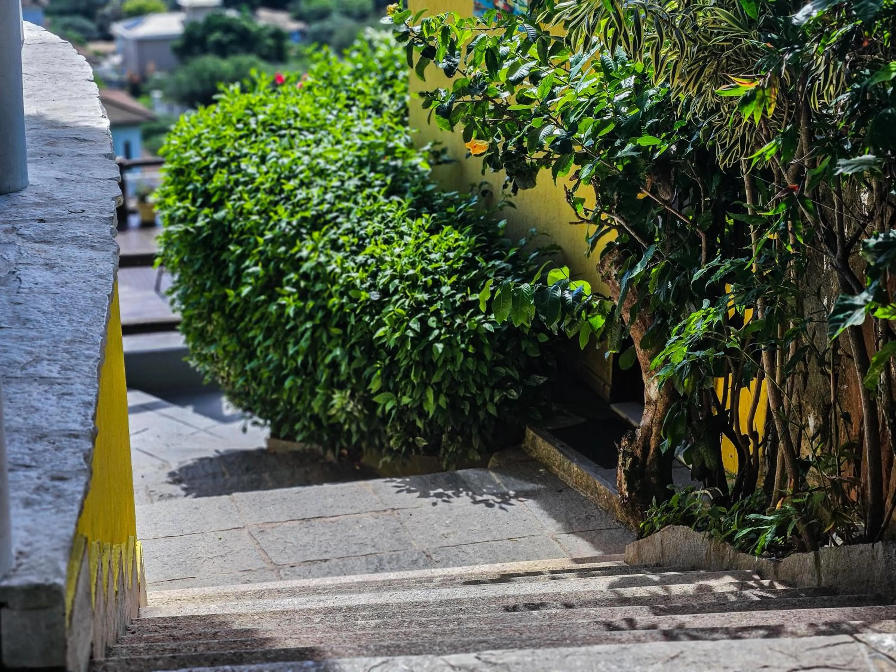 Bella Vista Ocean View