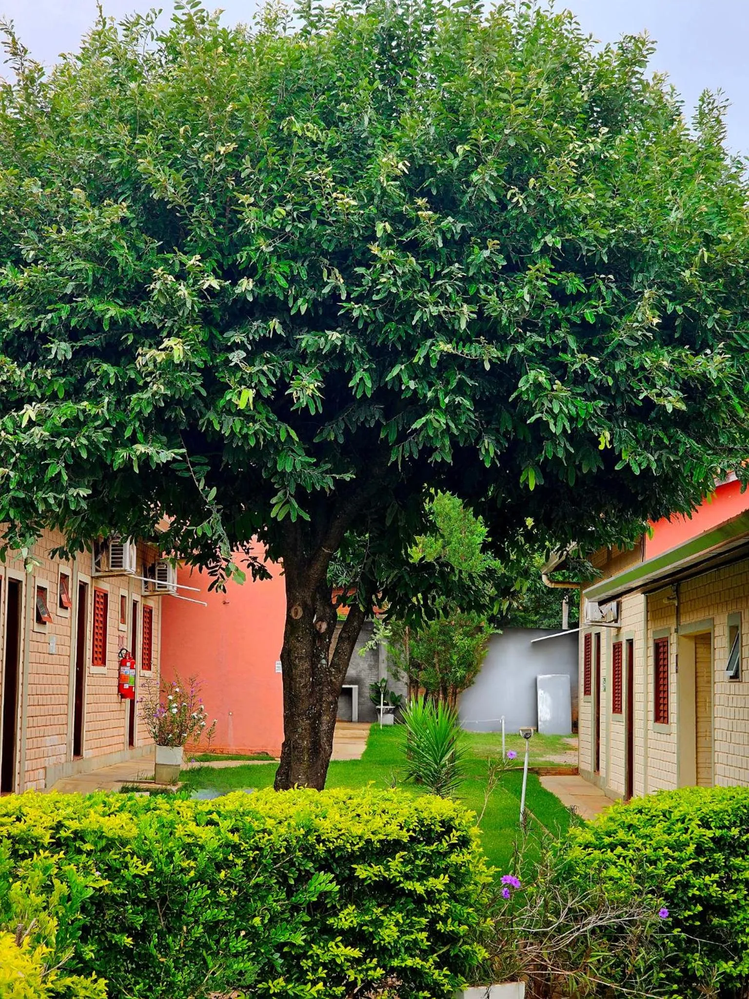 Garden in Bonito HI Hostel e Pousada