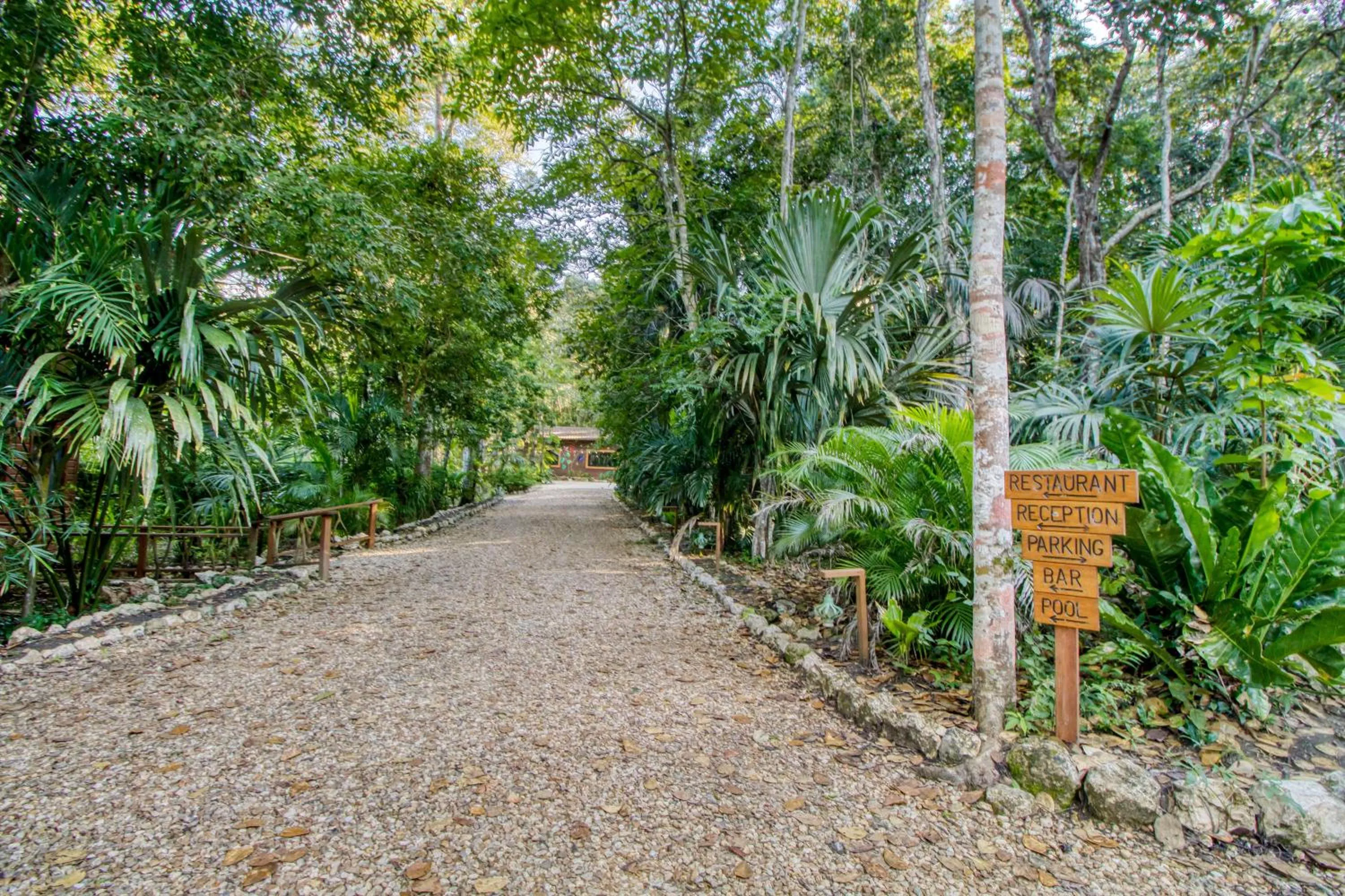 Natural landscape in Mariposa Jungle Lodge
