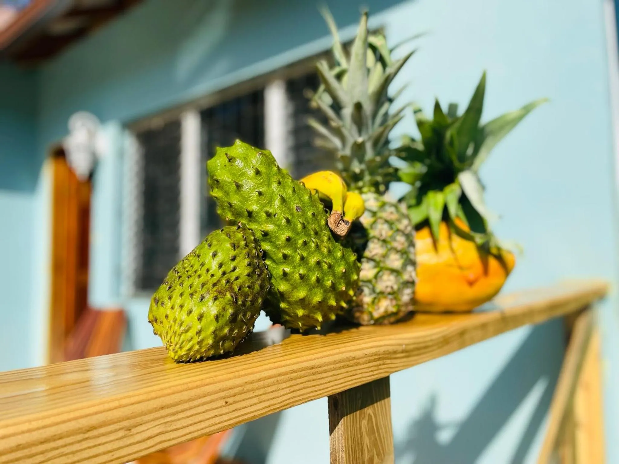 Balcony/Terrace in Mariposa Jungle Lodge